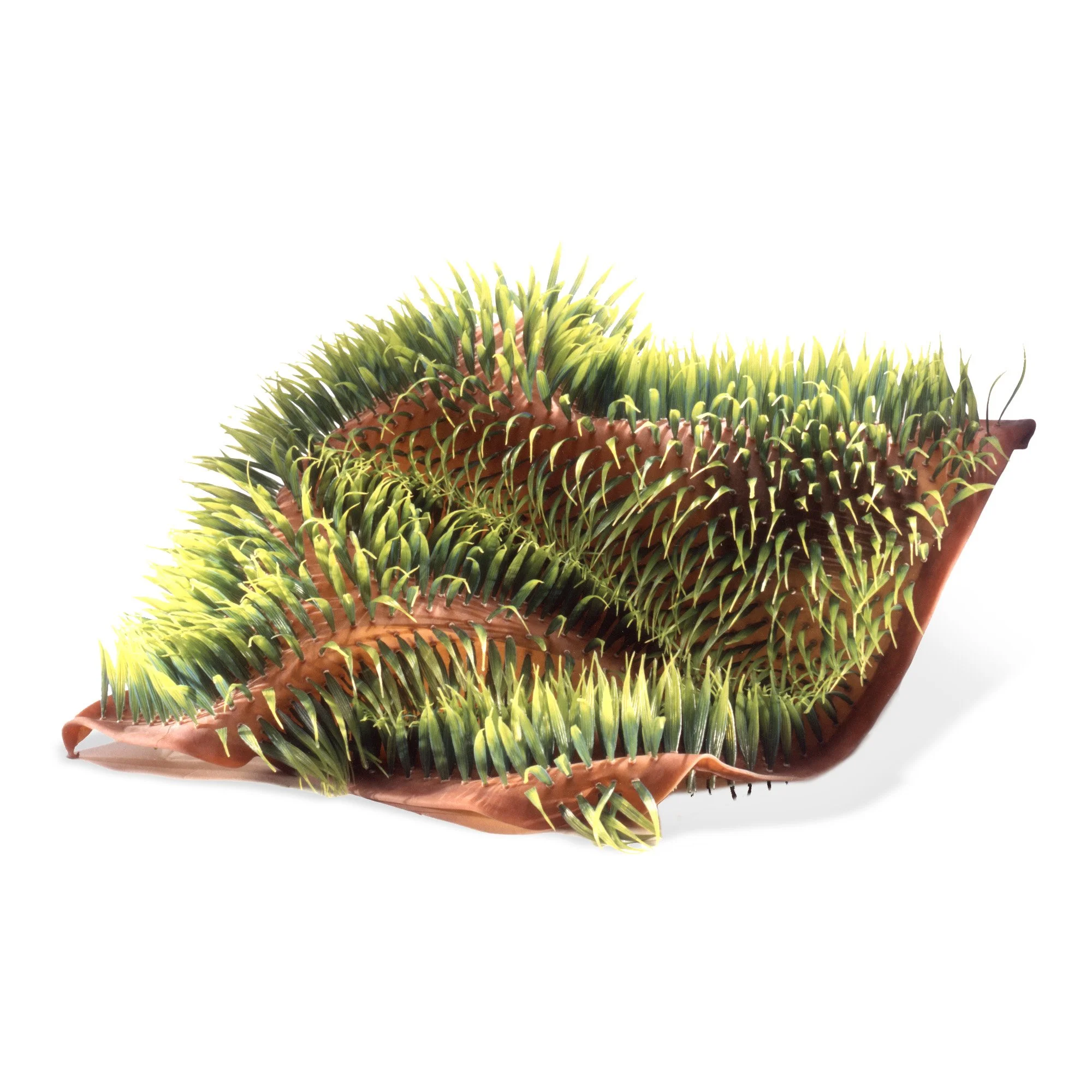 Werk-Plant_New_High_1_b.jpg