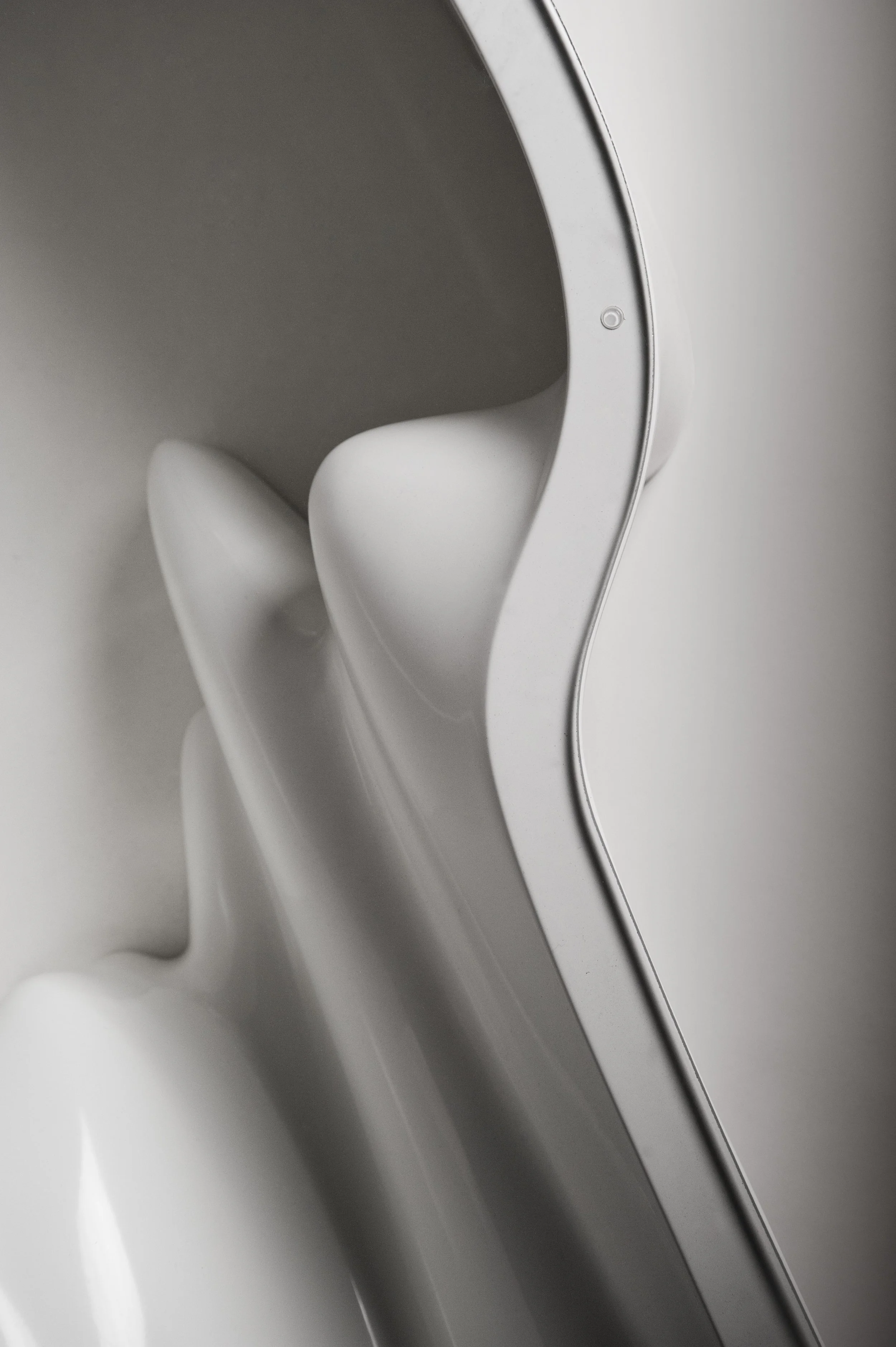 03_Darwin_detail.jpg
