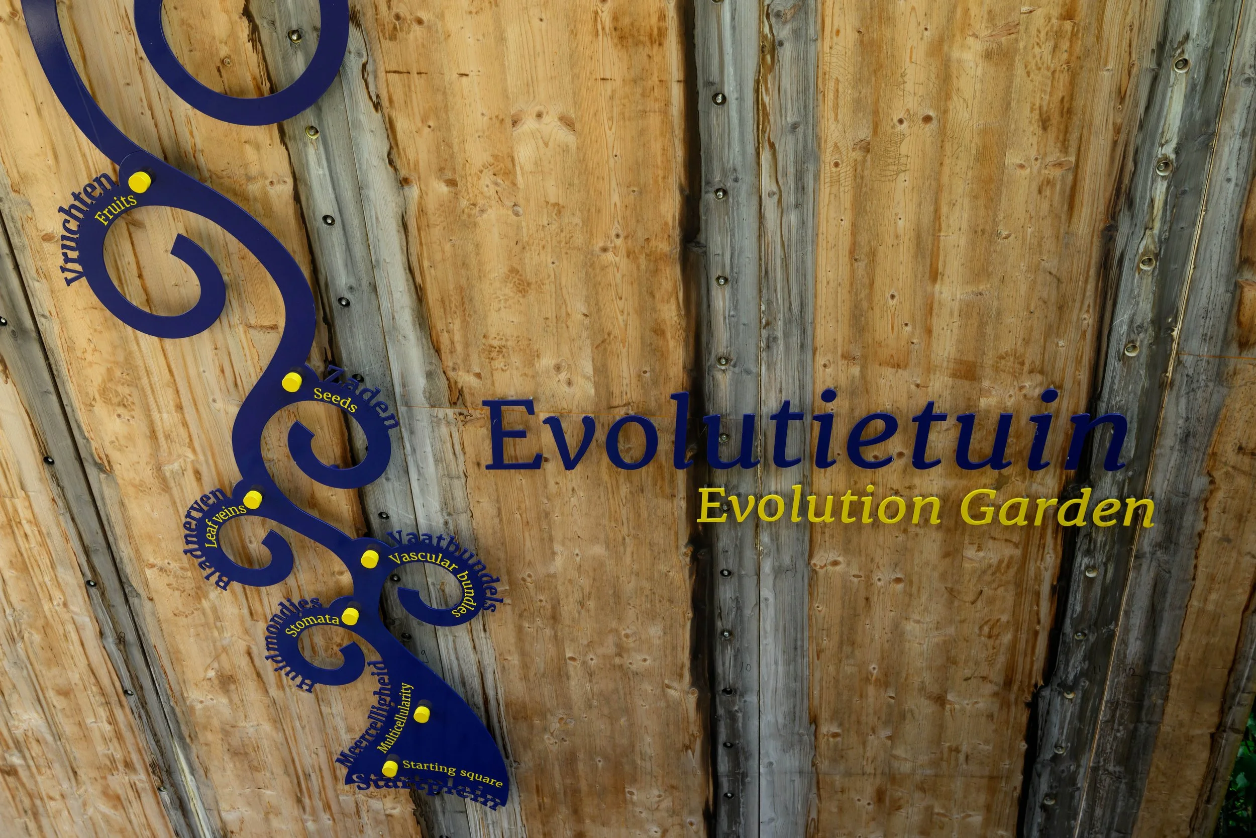 Evolutietuin_02.jpg