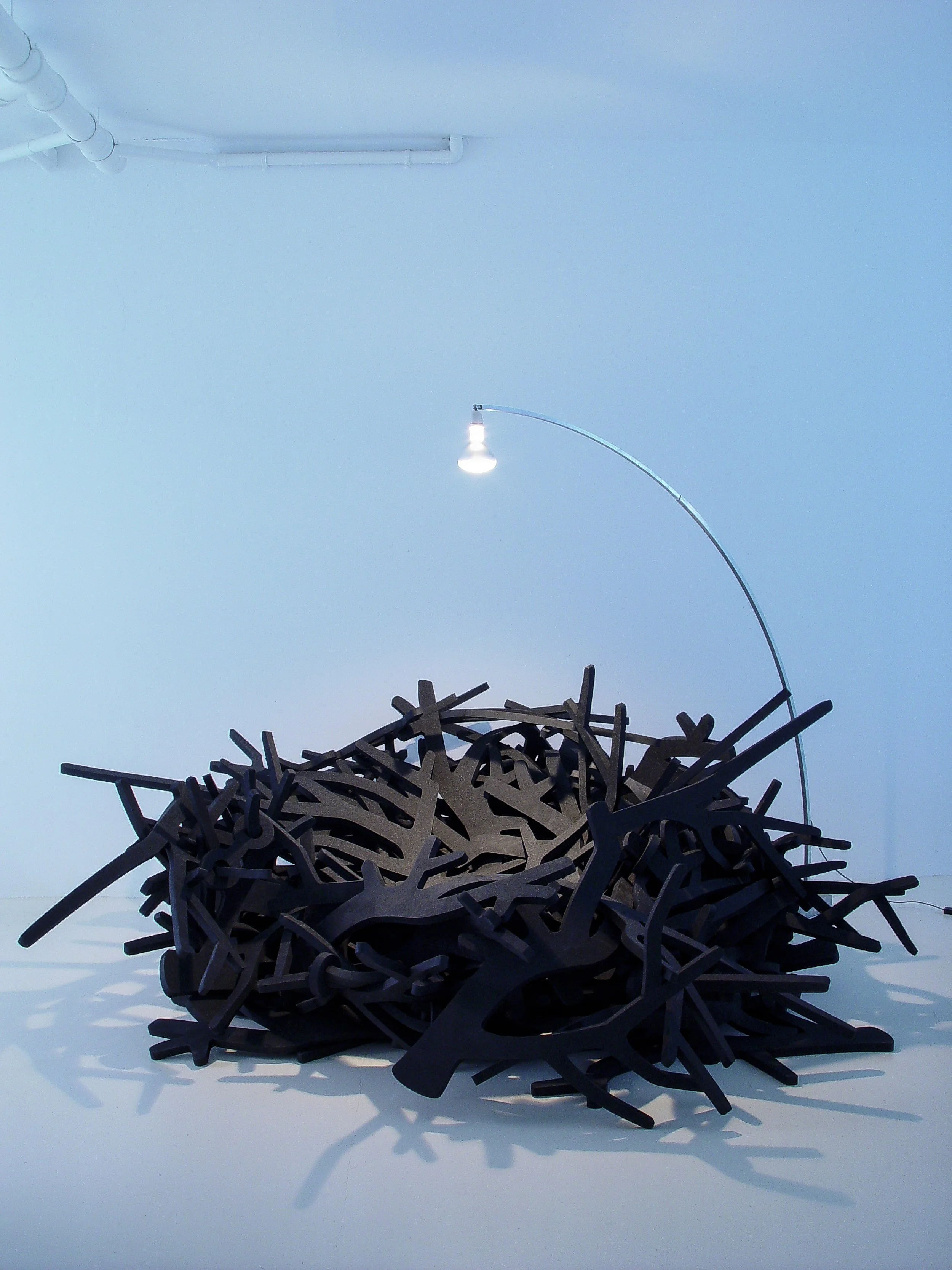 tjep_nest_new_hi_6.jpg