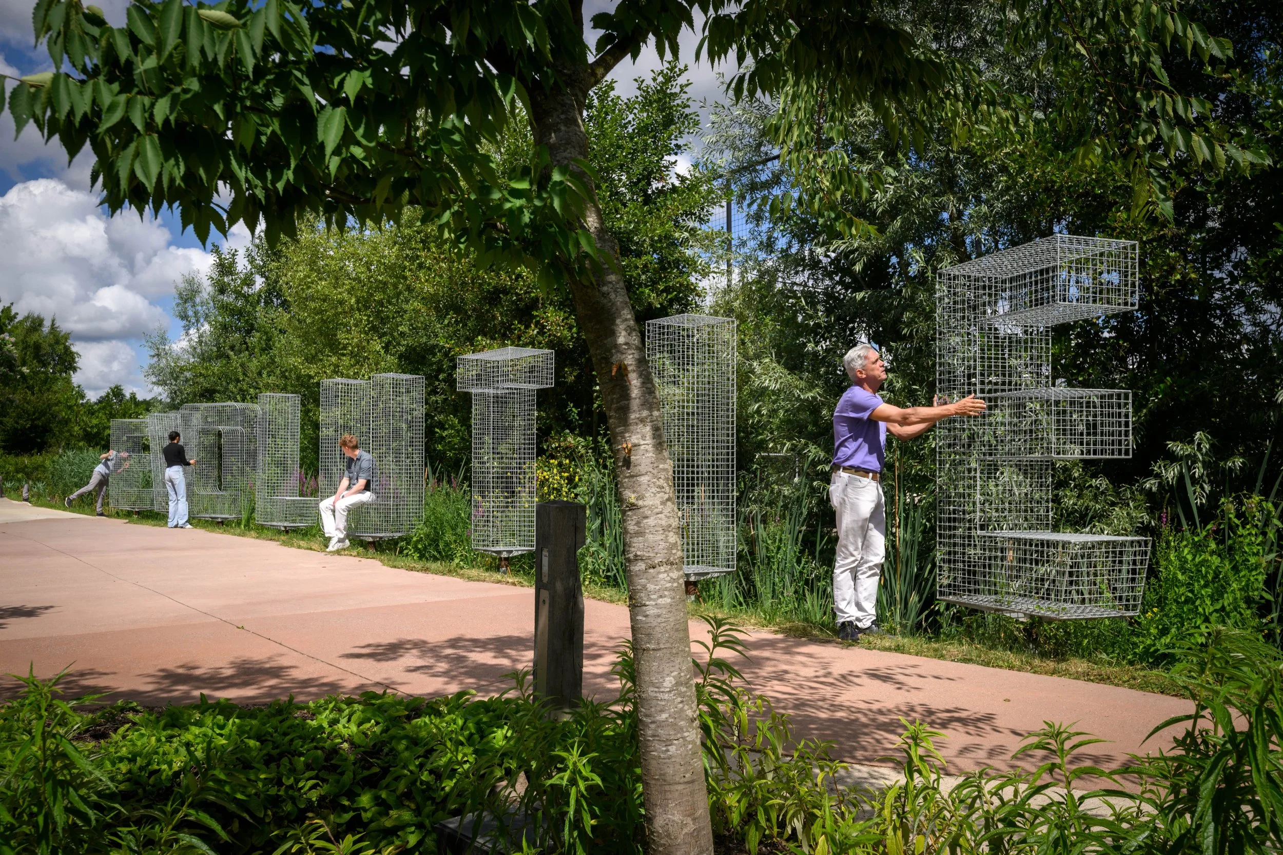 Evolutietuin_58 bewerkt.jpg