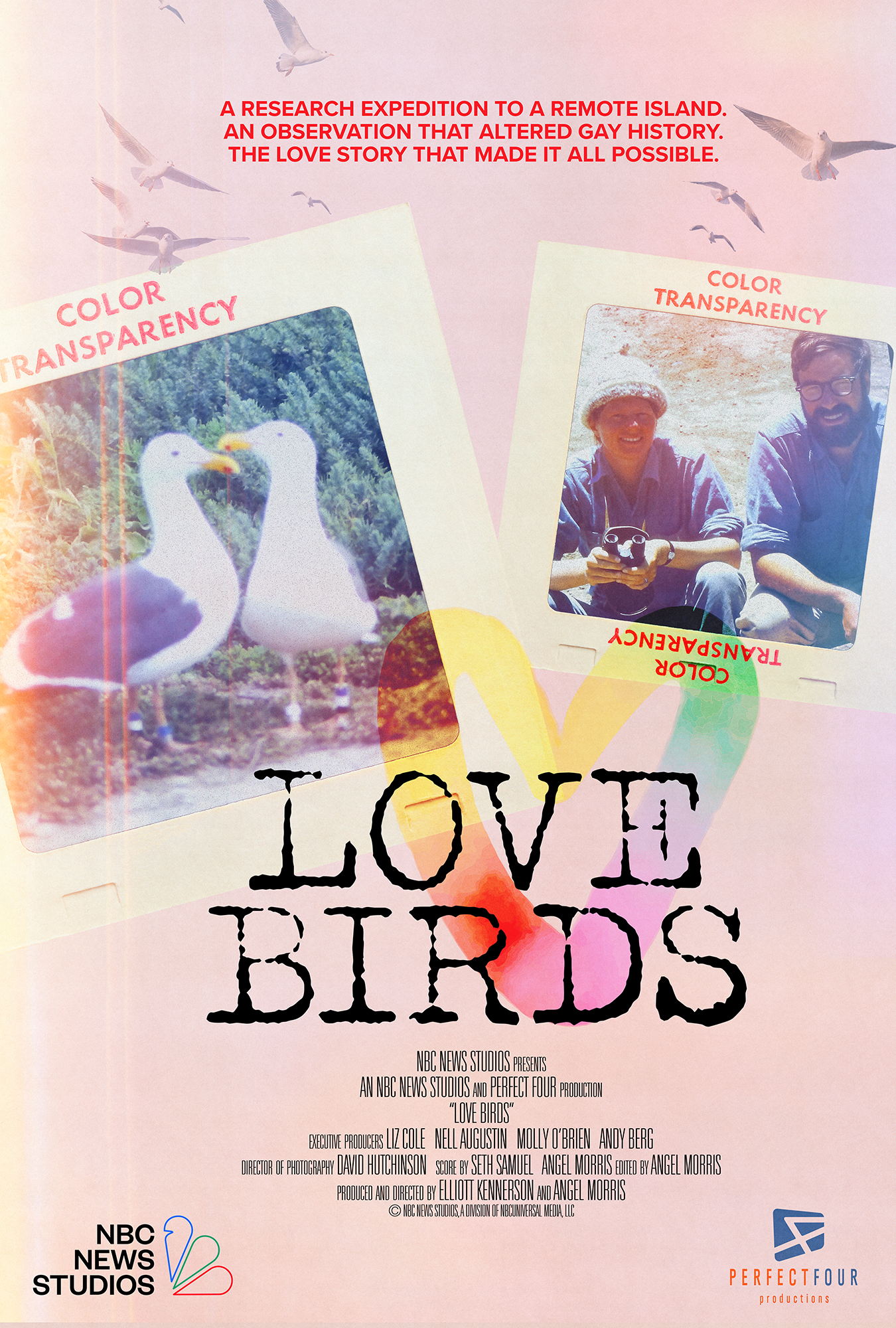 Poster for the documentary Love Birds, featuring two albatrosses, two male researchers, and flying seabirds, with text about a remote-island research expedition and gay history.