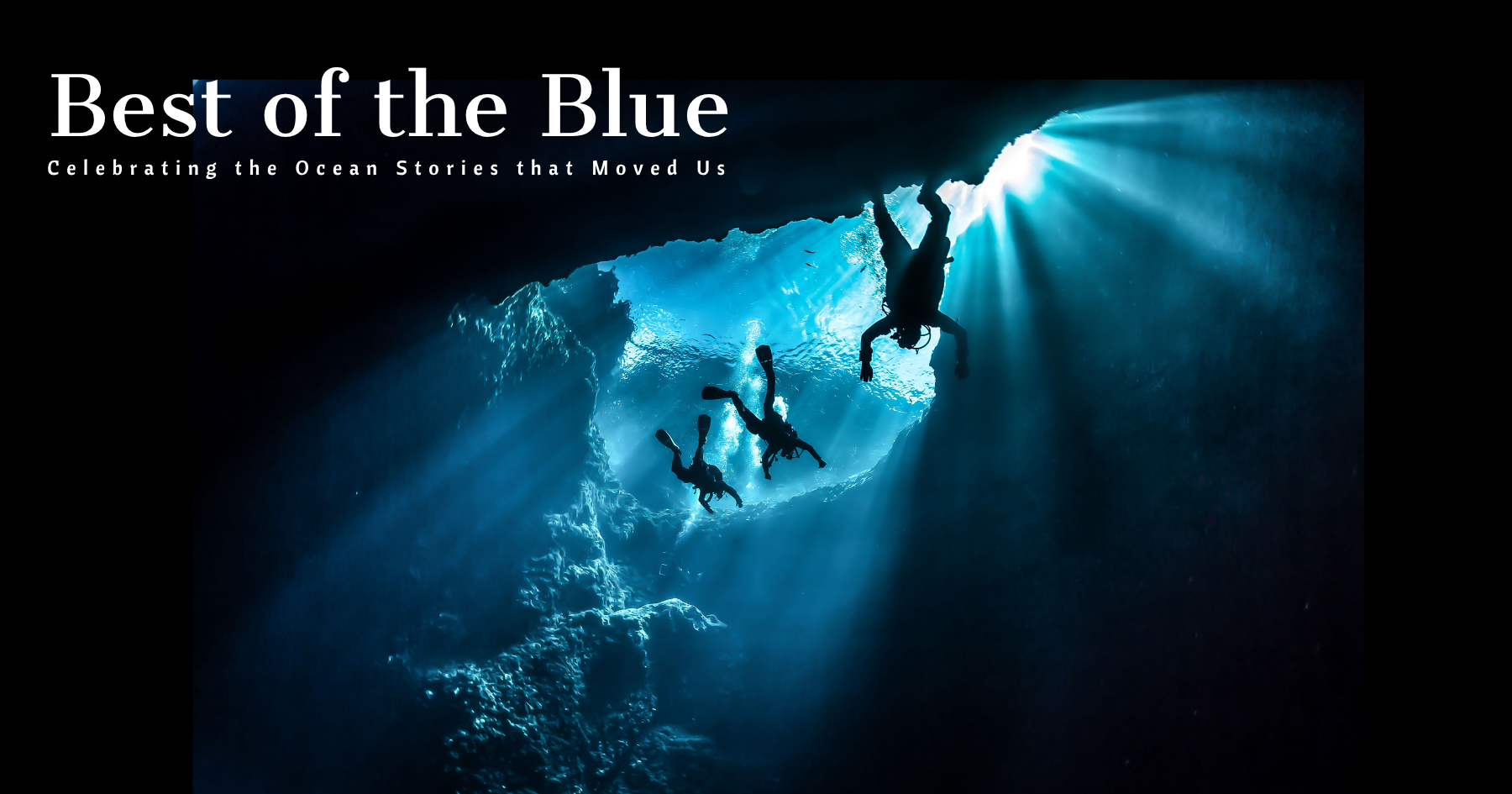PEOPLE DIVING