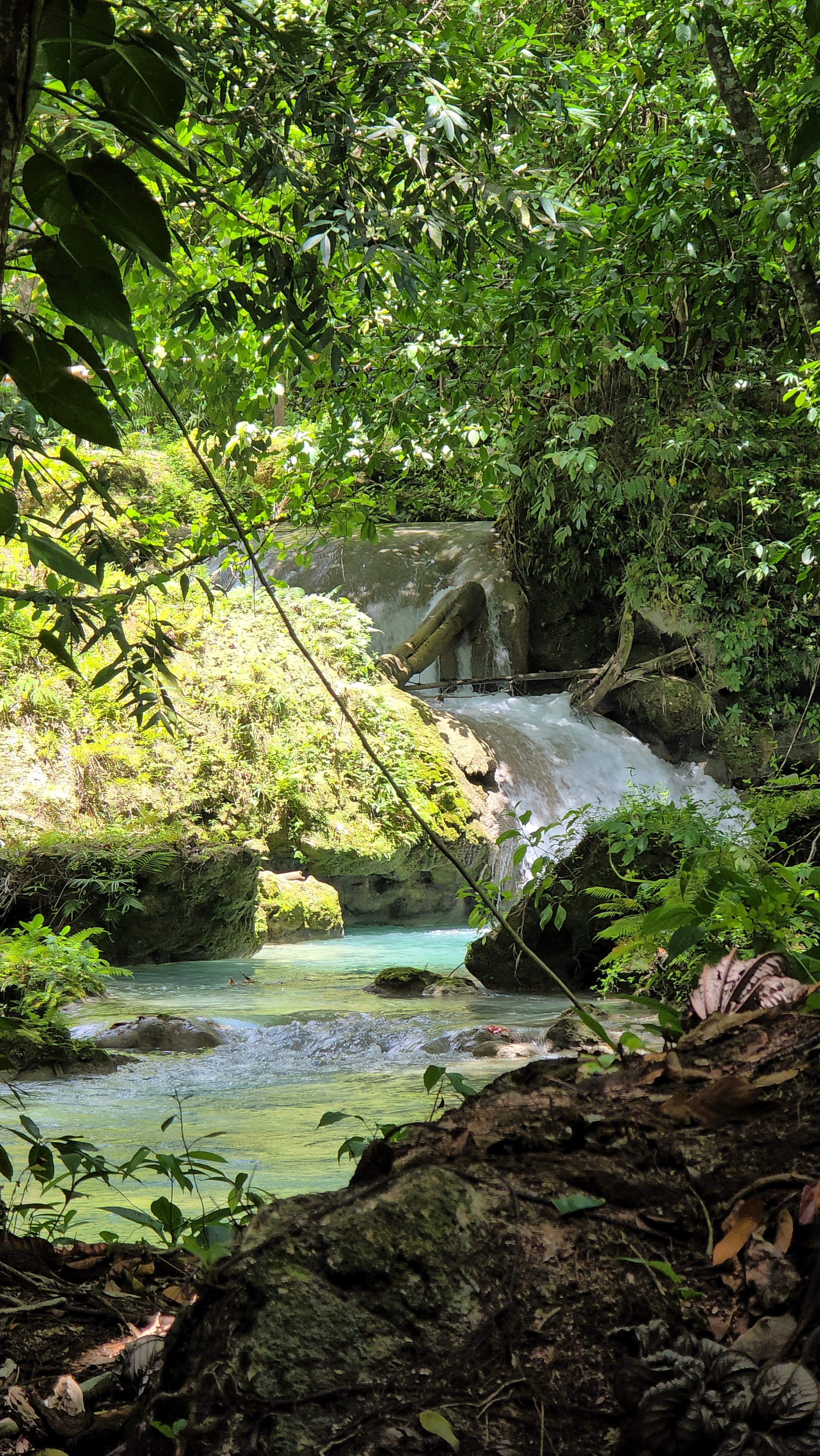 "Pon Di River" Premium Eco-Dining Day Tour (Ocho Rios)