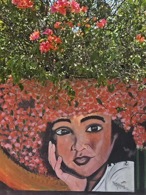 2 Trench Town Culture Yard.webp