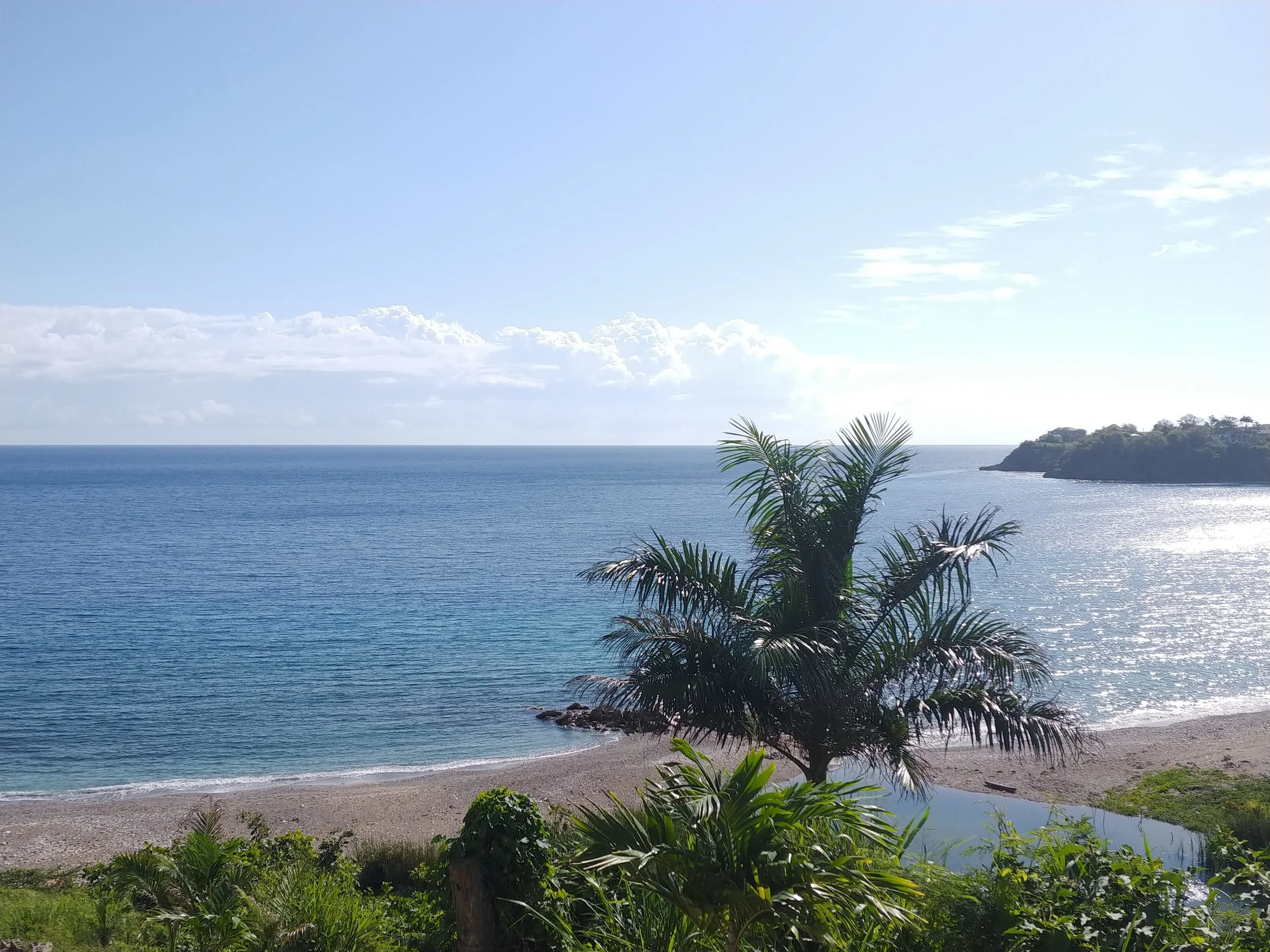 A tropical beach scene with a view of the ocean, a sandy shoreline, lush green plants, and a palm tree in the foreground, with a cliff and trees in the distance under a partly cloudy sky.