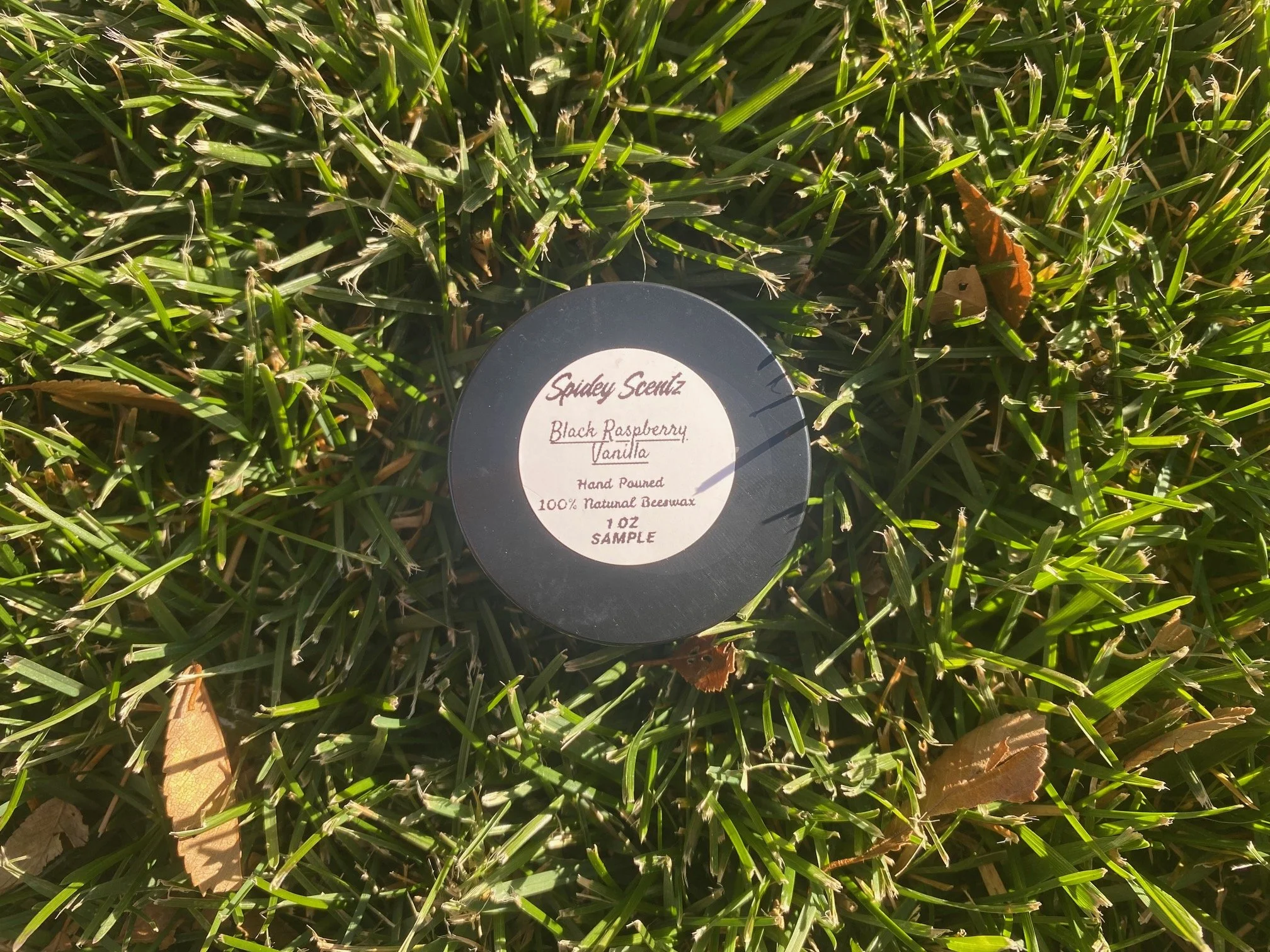 Black Raspberry Vanilla Sample Candle