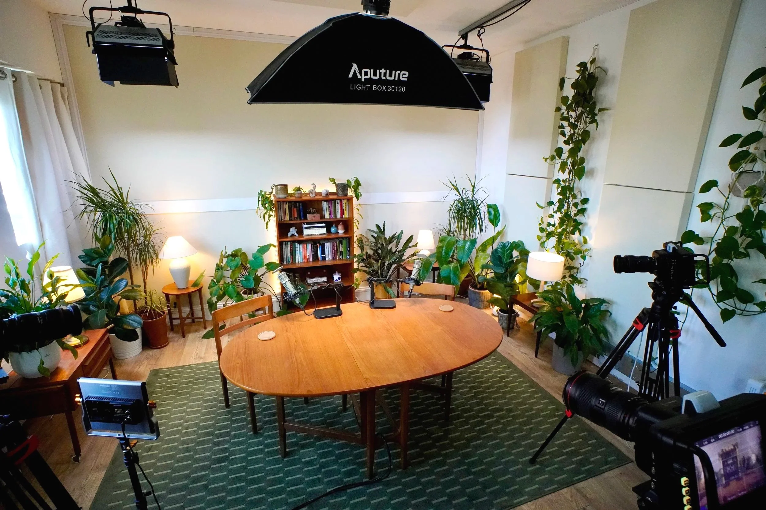 A camera setup for indoor photography or recording in a room filled with green plants, wooden furniture, bookshelf, and sitting areas, with lighting equipment and a laptop on a small table.