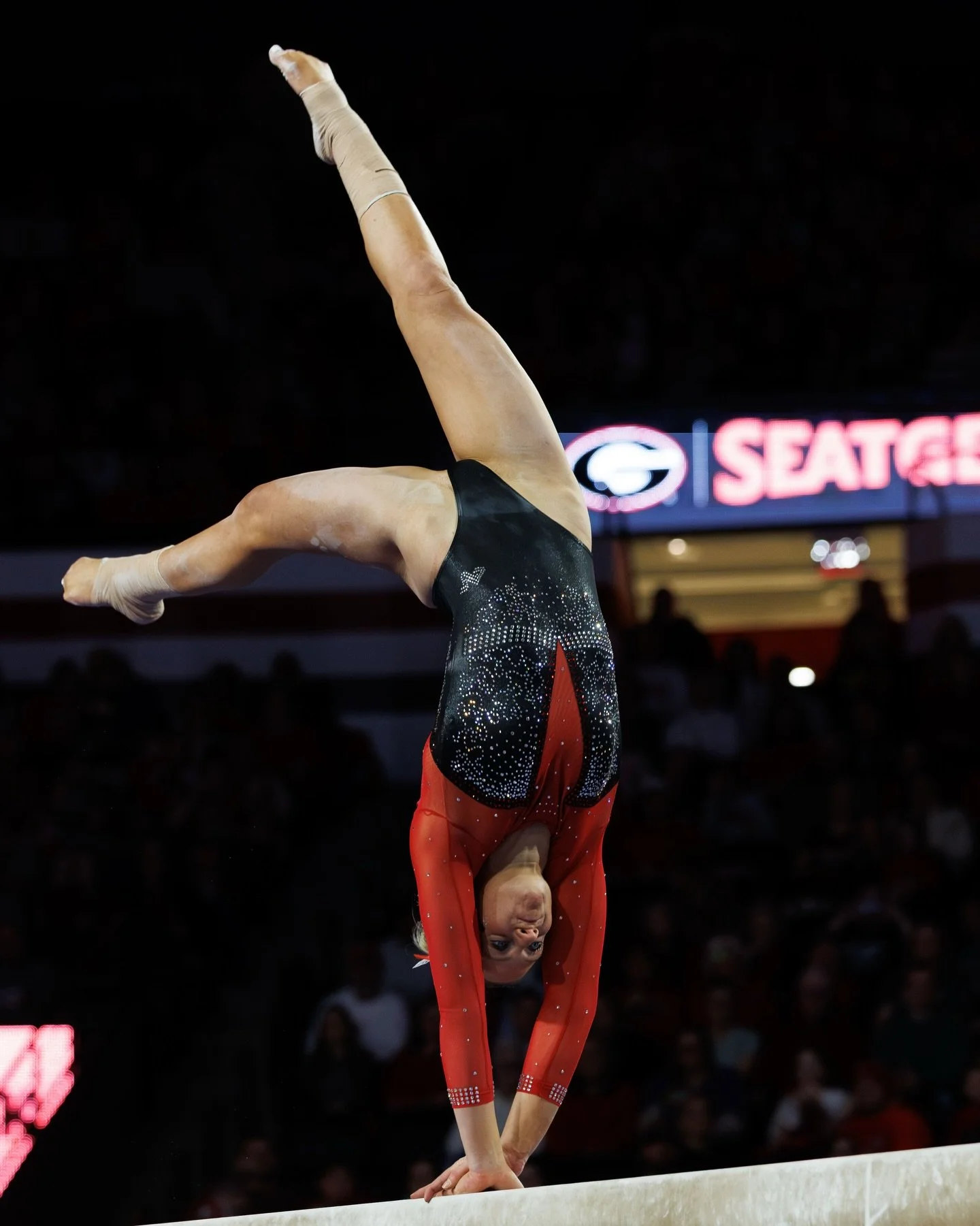 🐶 Gym Dogs 

Captured Jan. 16, 2026 in Athens, GA. (Eric Graham)