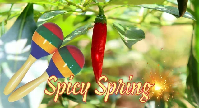 Spicy Spring big.webp
