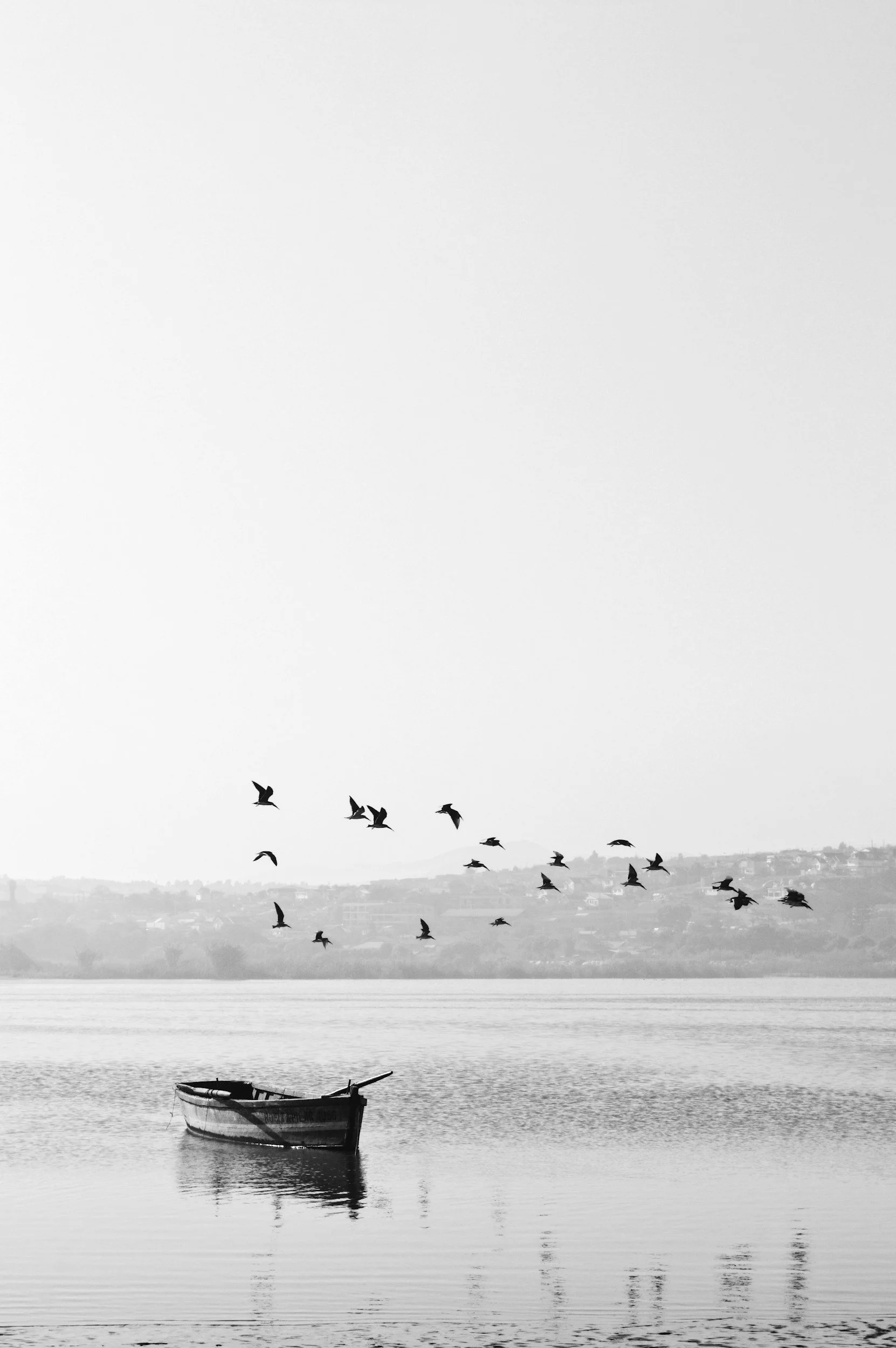 unsplash-image-hy8y0Wp_Lp0.jpg