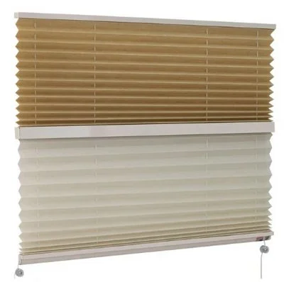 Day Nite Pleated Shades