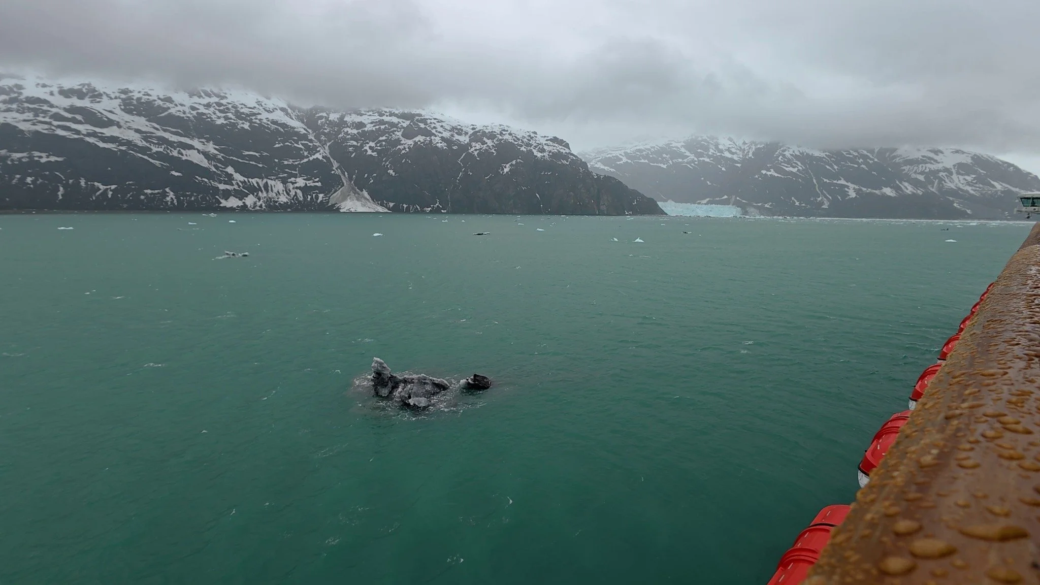 Glacier Bay was one of those cruise days that made me slow down and just take it all in. Sailing through on Koningsdam meant hours of mountain views, glaciers, and quiet stretches of scenery that felt completely different from a typical port day. It 
