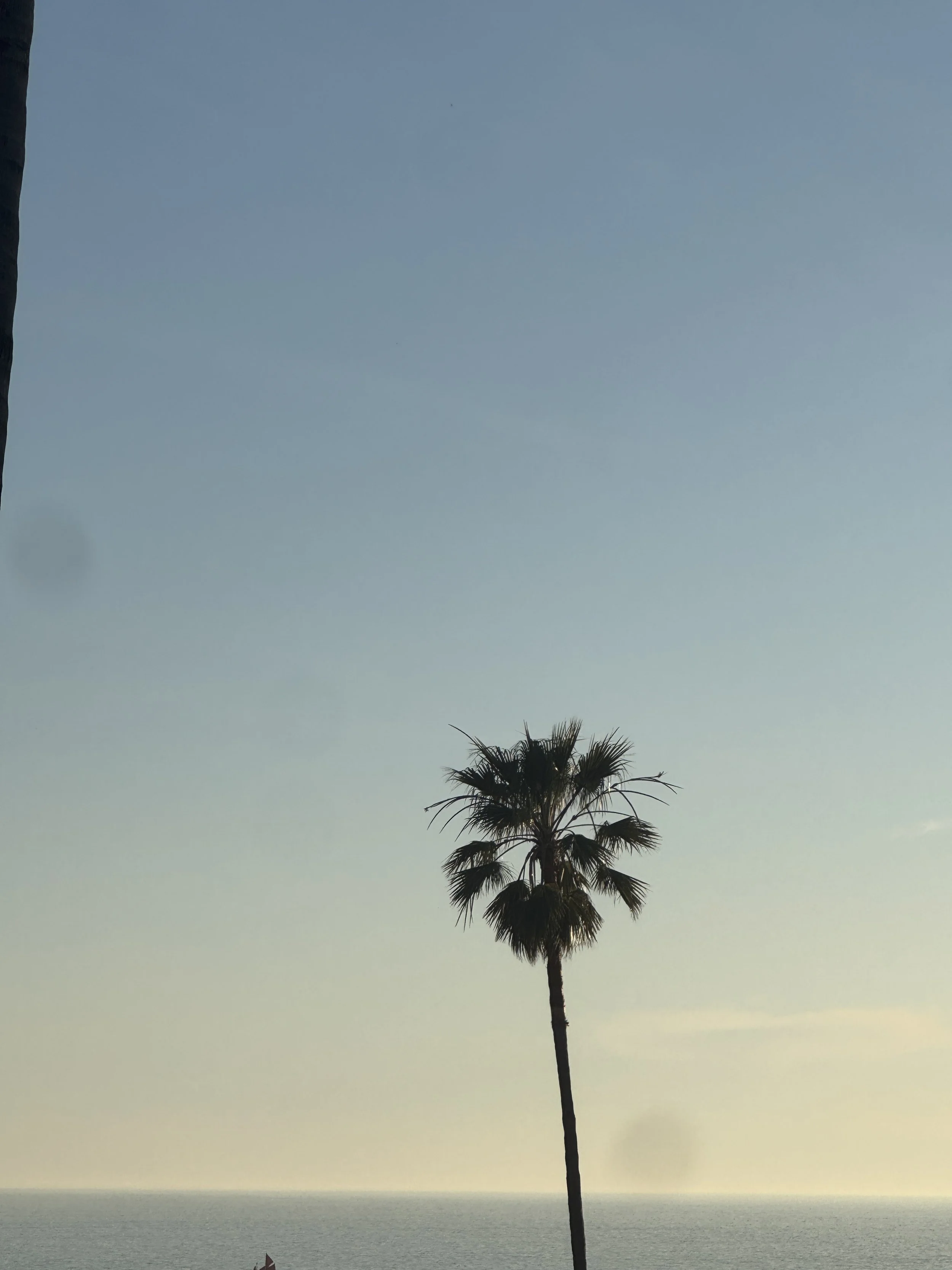 Choosing a Financial Planner in Newport Beach and Corona Del Mar 