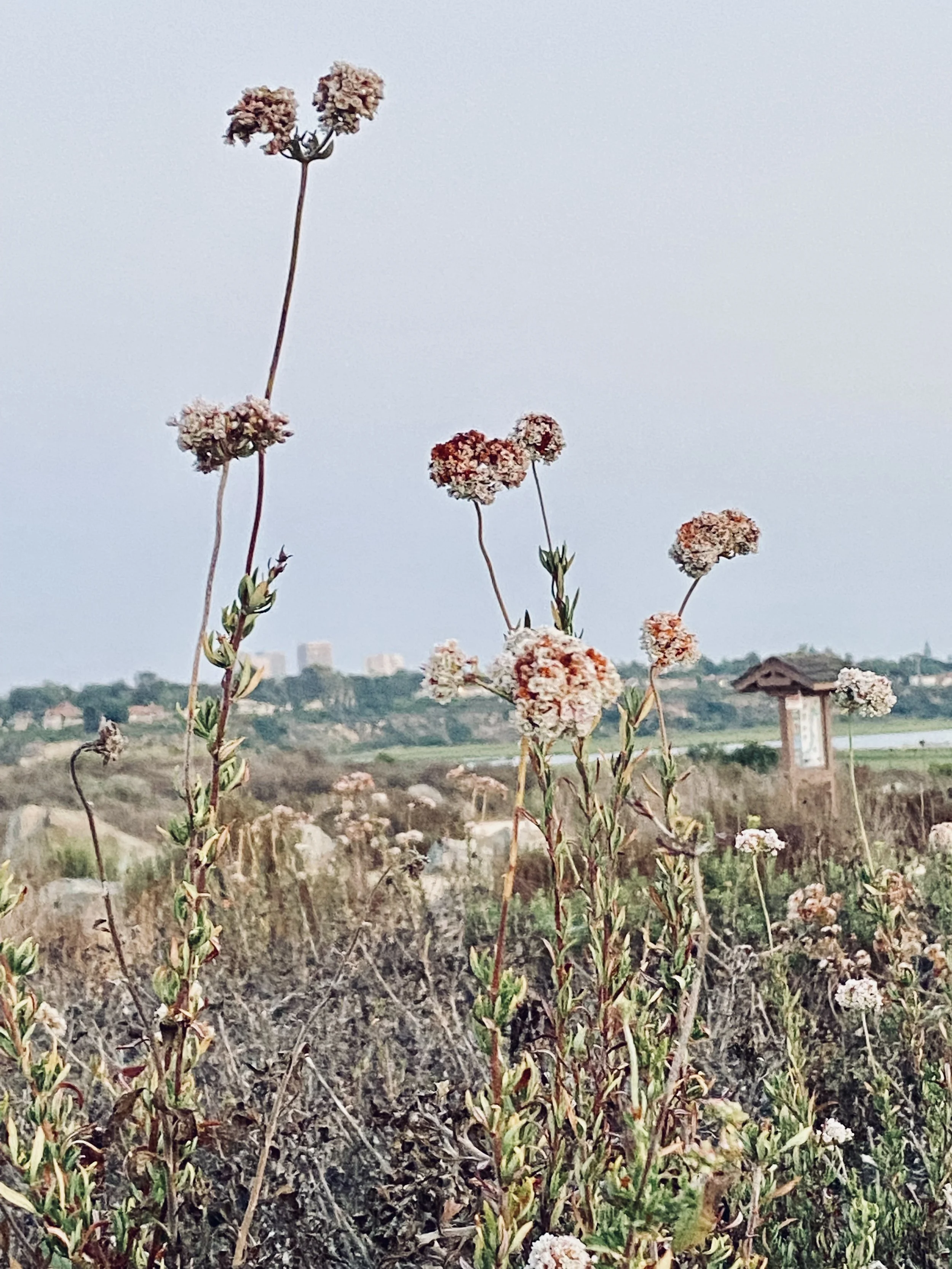 Why High-Income Earners Still Owe Taxes (Even With Withholding)