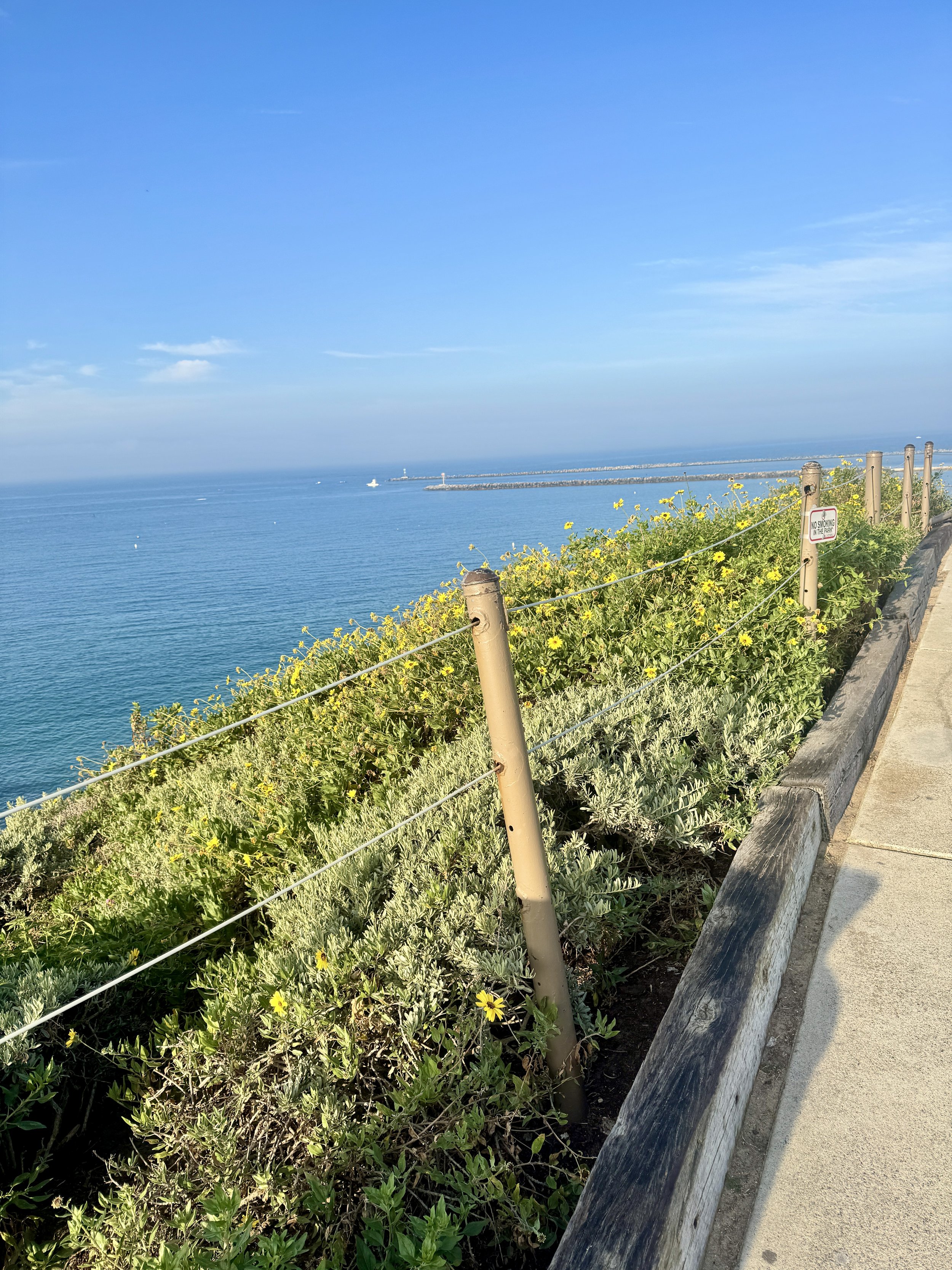 Divorce Financial Planning in Newport Beach: What High-Net-Worth Clients Need to Know