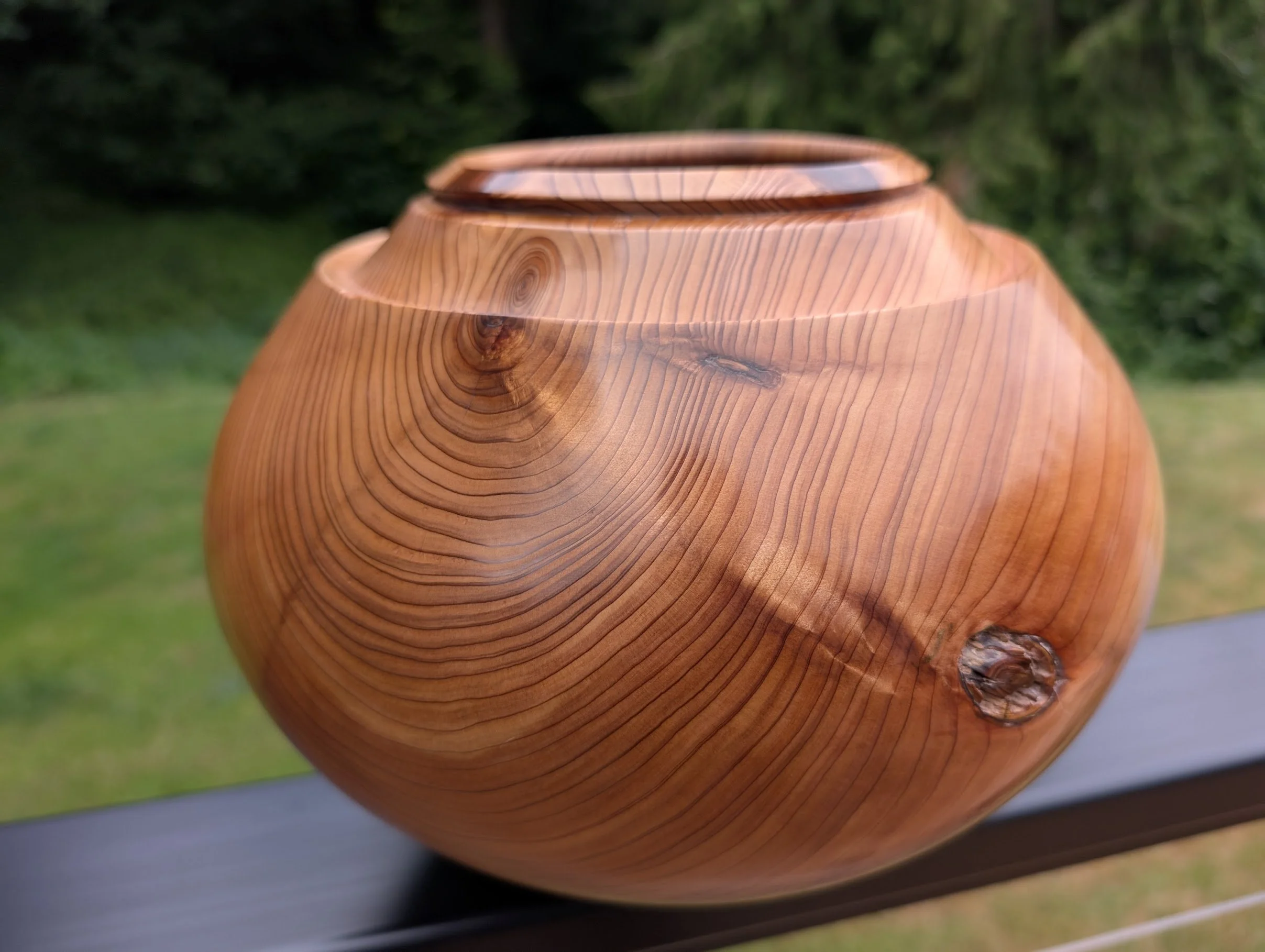 cedar_vase_close_fuzzy.jpg