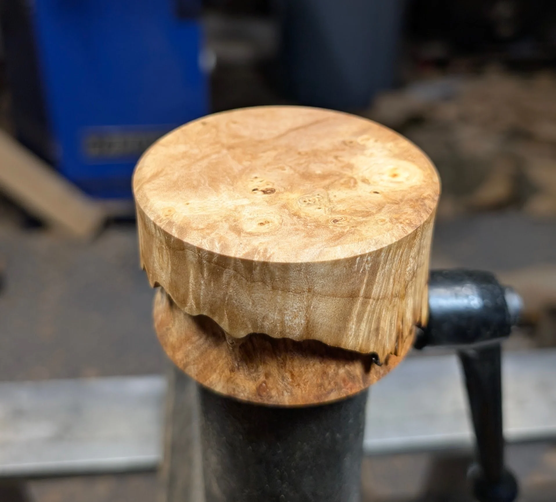 Reverse Live Edge Spalted Big Leaf Maple Burl Lidded Box