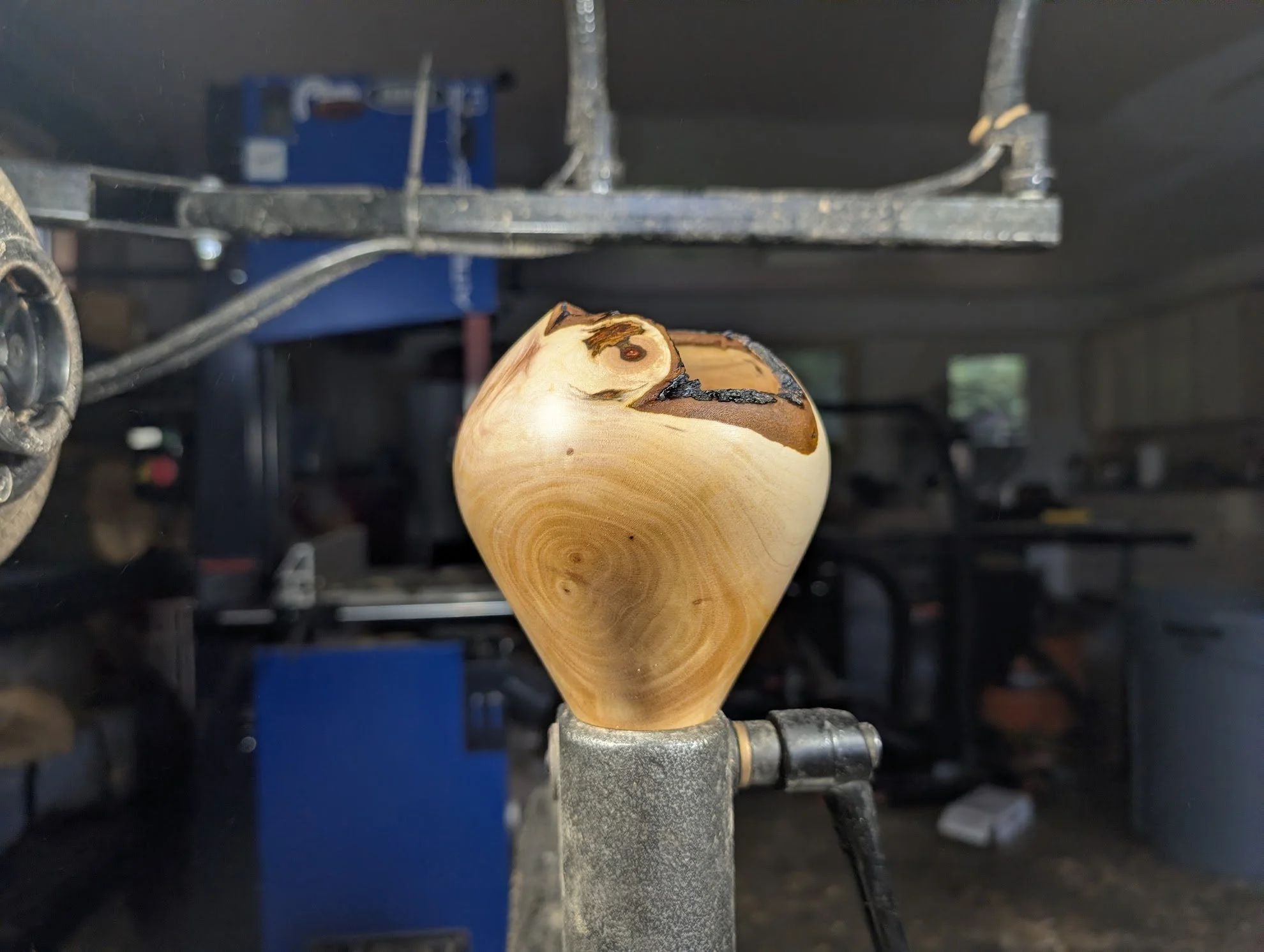 Live Edge Oregon Myrtle Vase (4" x 4.5")