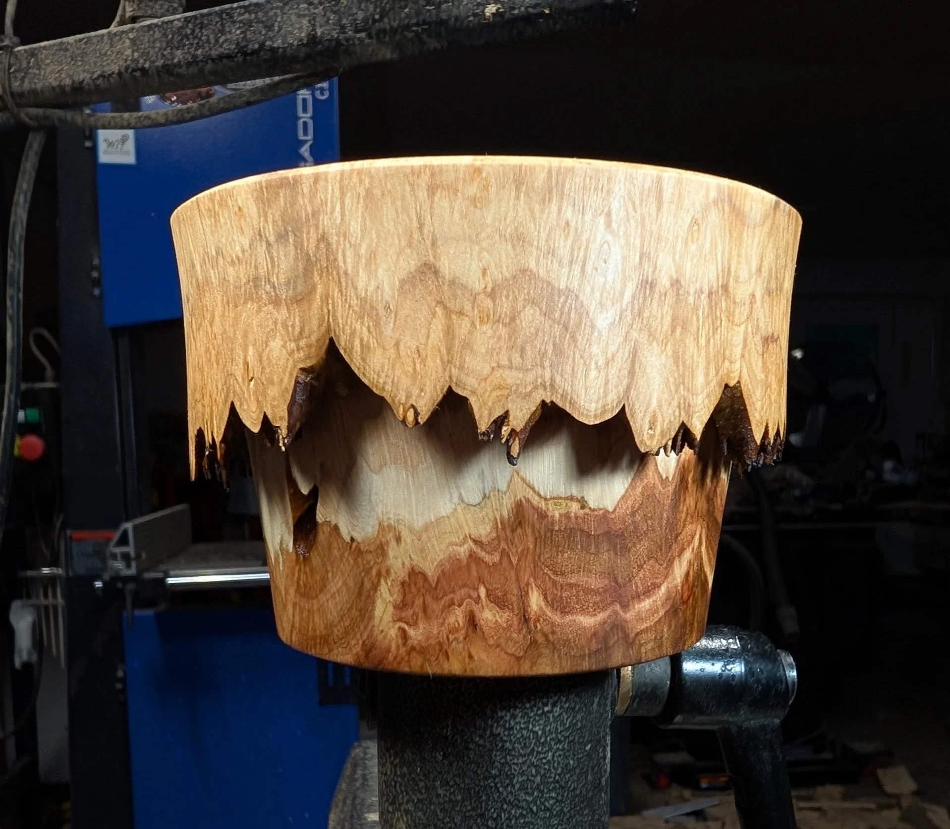 Reverse Live Edge Big Leaf Maple Burl Lidded Box