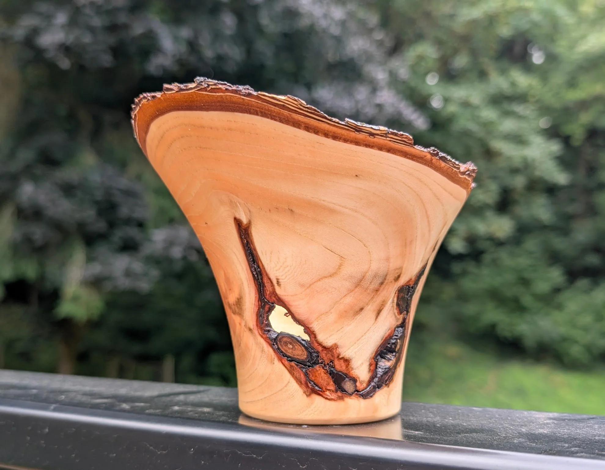 Live Edge Honey Locust Form (5.75" x 4.25")