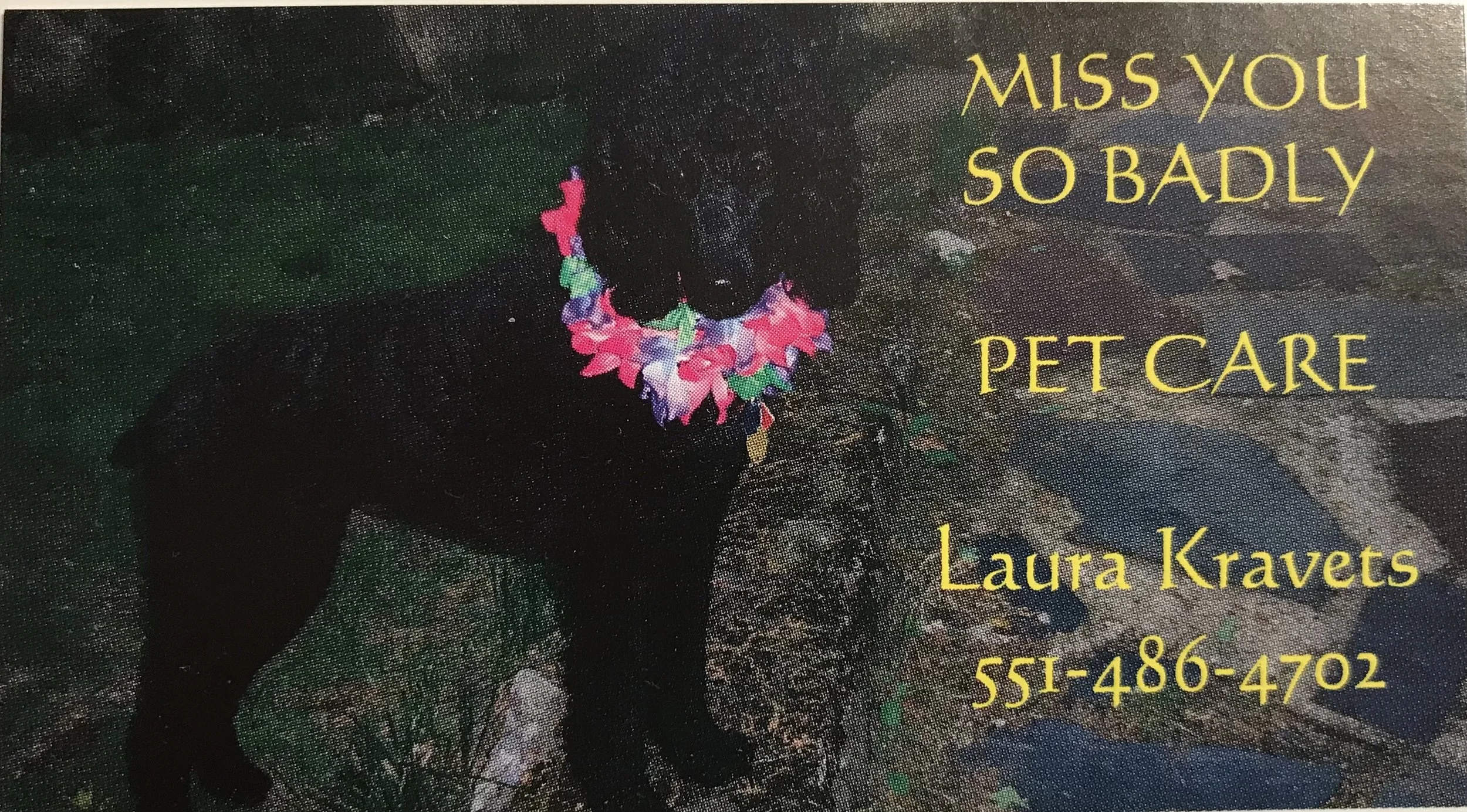 Miss You So Badly Pet Care, LLC