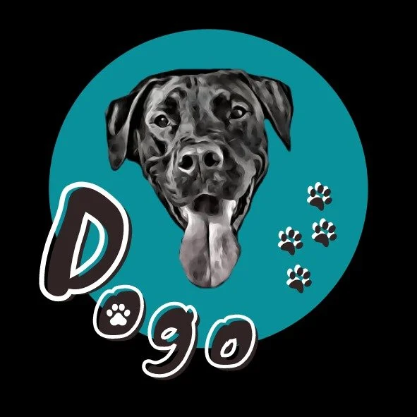 Dogo - Dog Walking Business