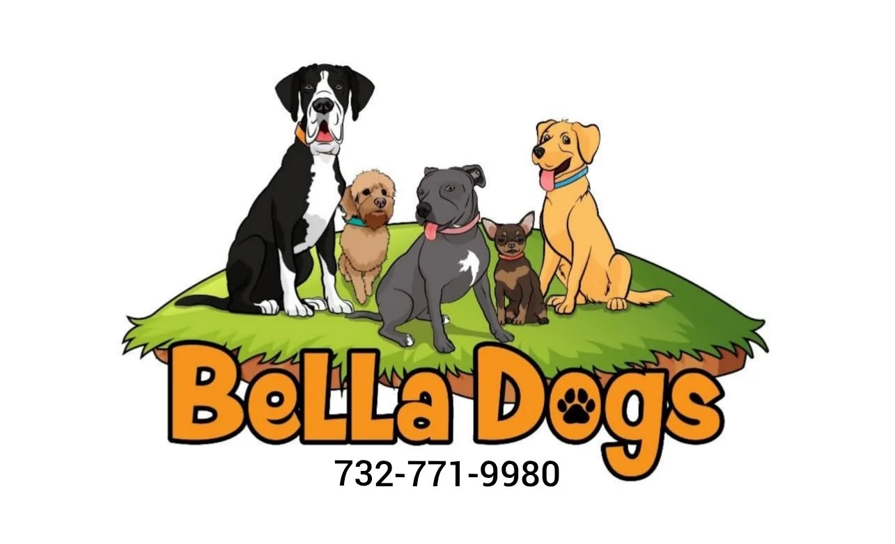 Bella Dogs