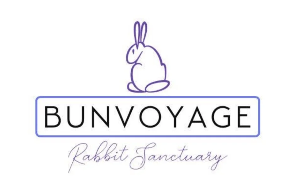 Bun Voyage