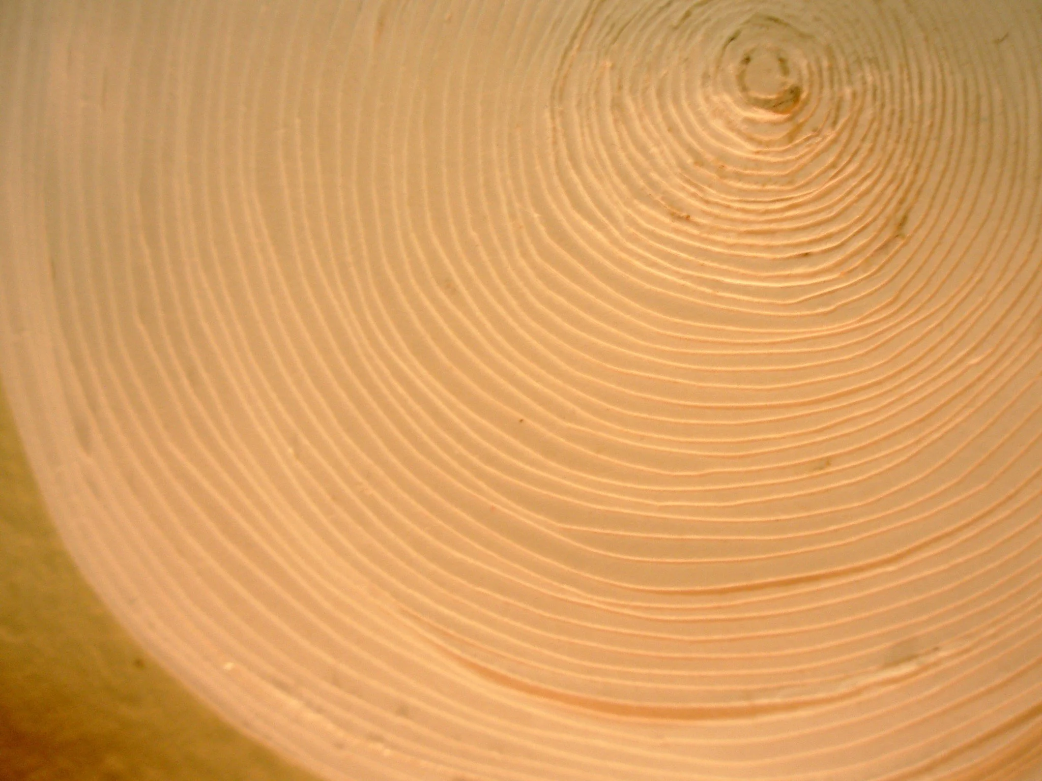 "Topo" detail