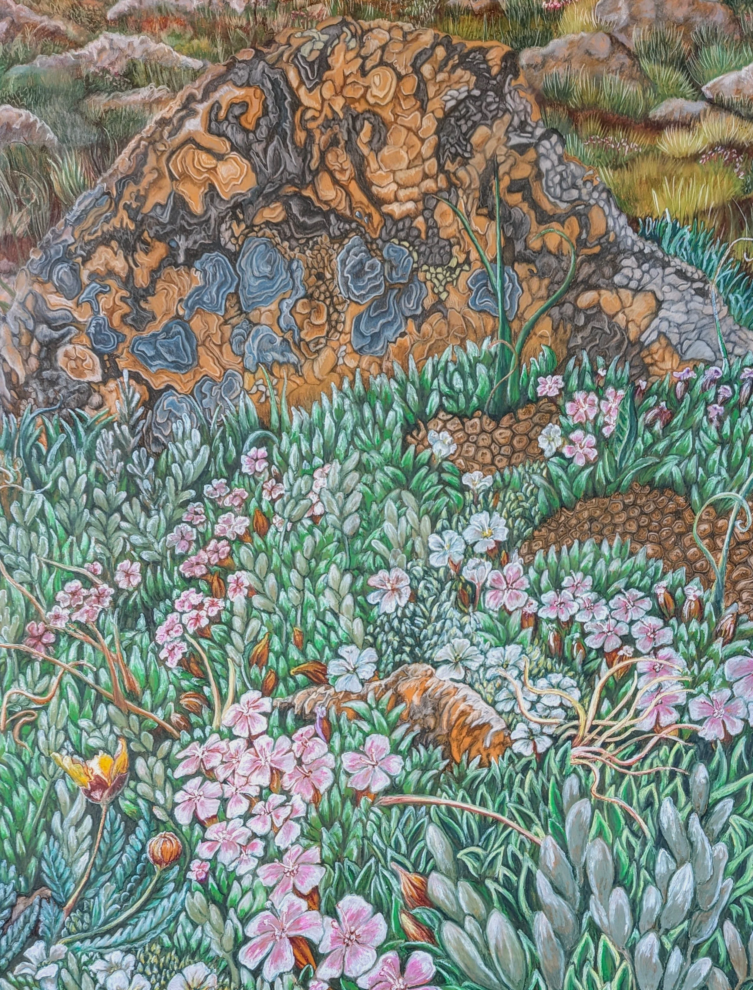 "A Lichen's Garden"