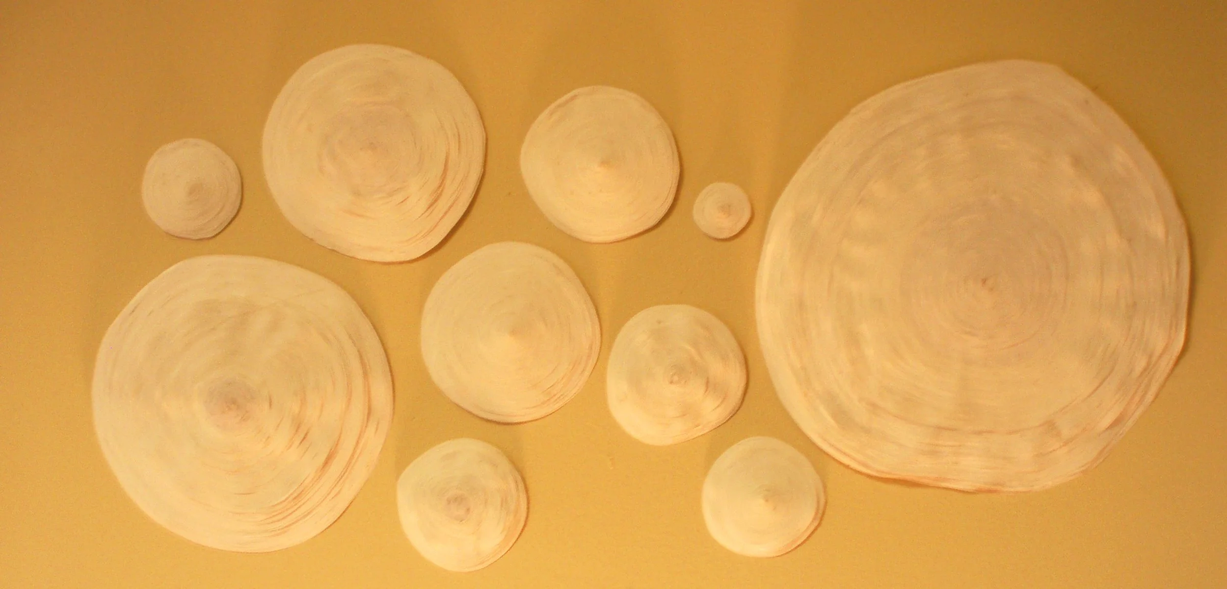 "Topo"
each ranges from 4" to 15" in diameter
Paper and light
