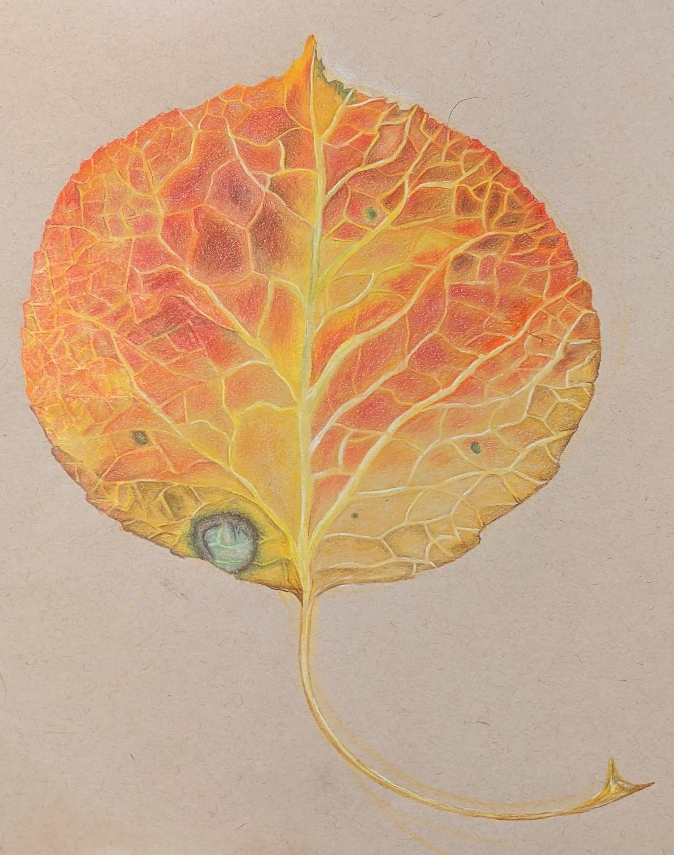 Aspen Leaf Series #5