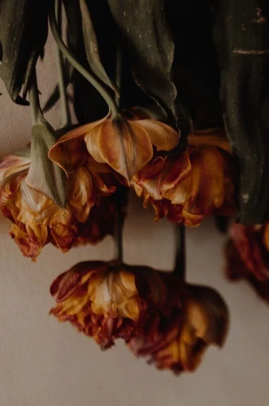 Where I Went Against My Own Knowing