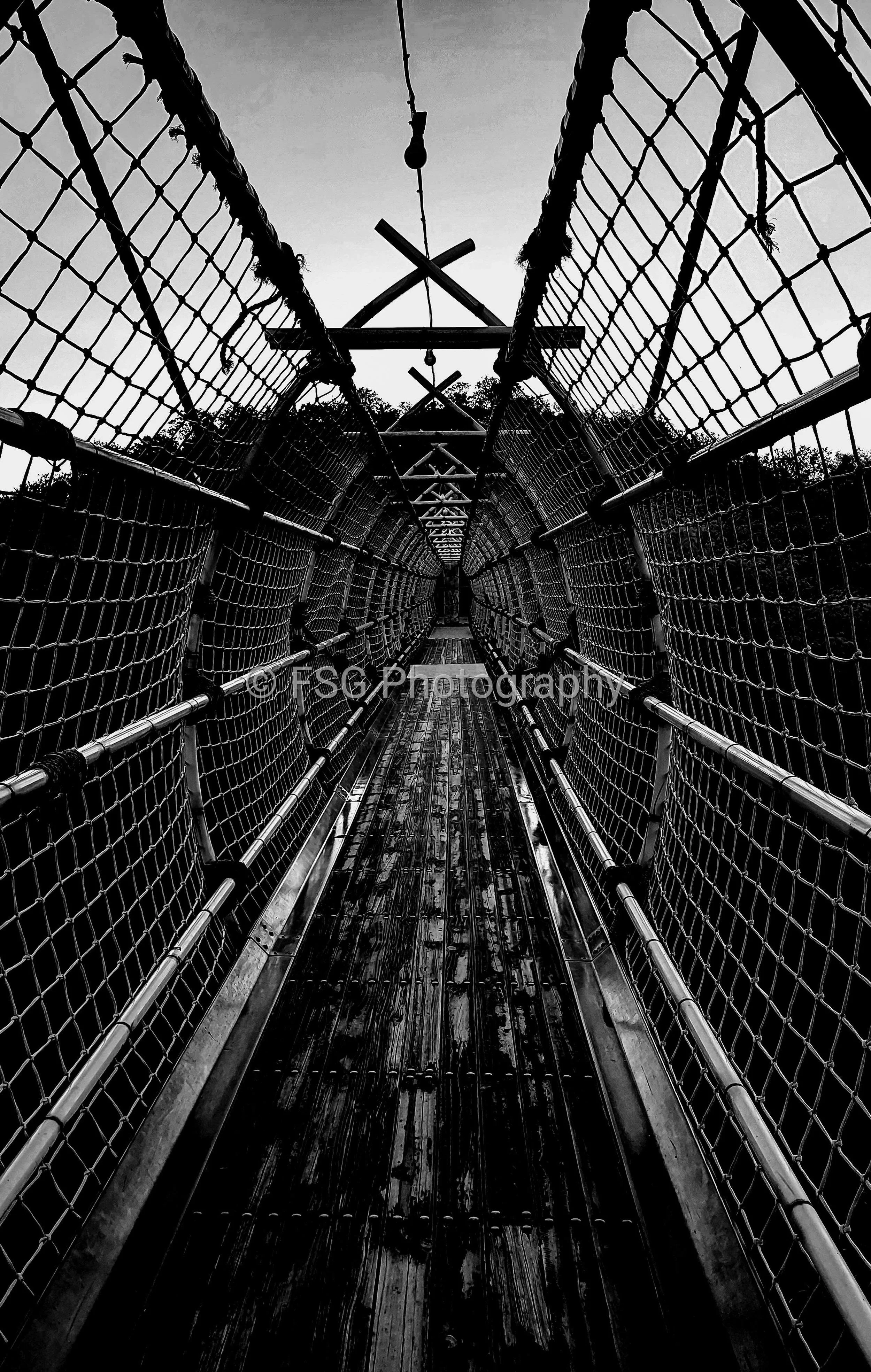 Symmetry

A minimalist perspective down a geometric canopy bridge. Stripped of colour, the photograph relies entirely on black and white tones, leading lines, and repetitive patterns to create a quiet focus sense of depth.