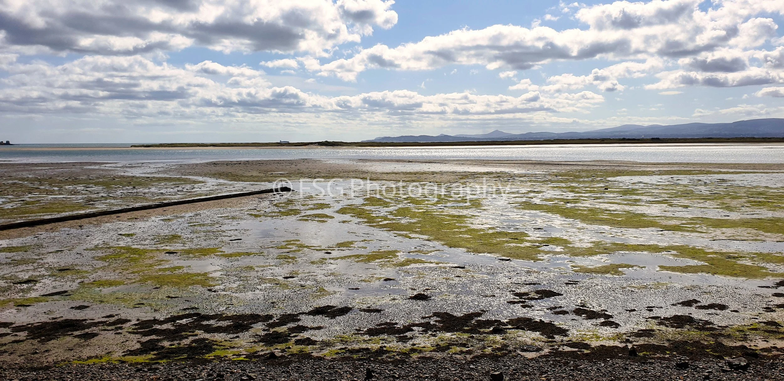 Irish Low Tide

A serene landscape showcasing the vast intertidal zones of Ireland. The dark sediment, mossy patches, and calm shallow waters reflect the bright afternoon clouds, highlighting the peaceful, raw beauty of the Atlantic coast.