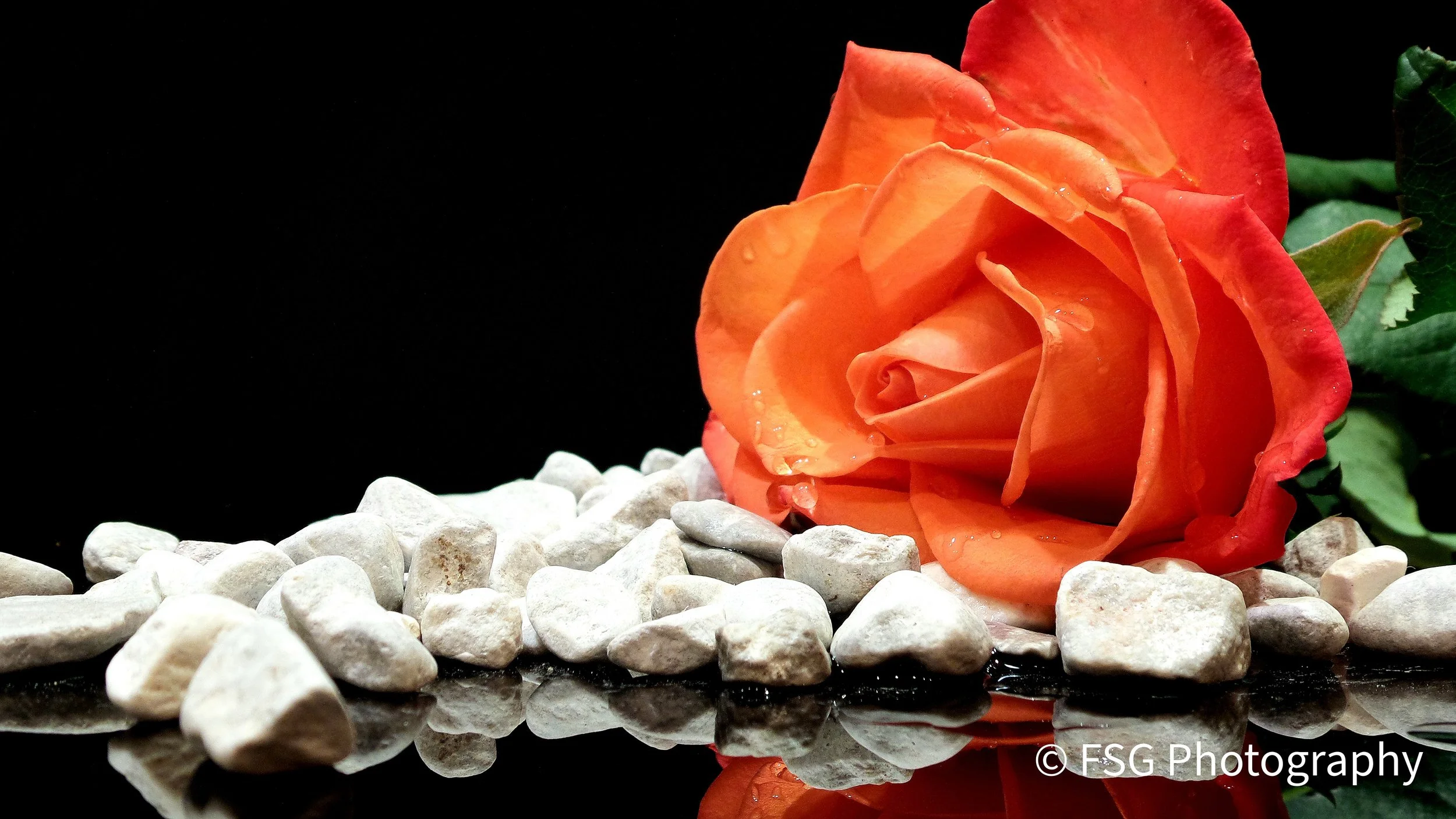 This photograph captures a moment of serene contemplation. A single red rose lies on a bed of white pebbles, its form perfectly mirrored in a shallow pool of water. The deliberate stillness and elegant simplicity invite the viewer to reflect on theme