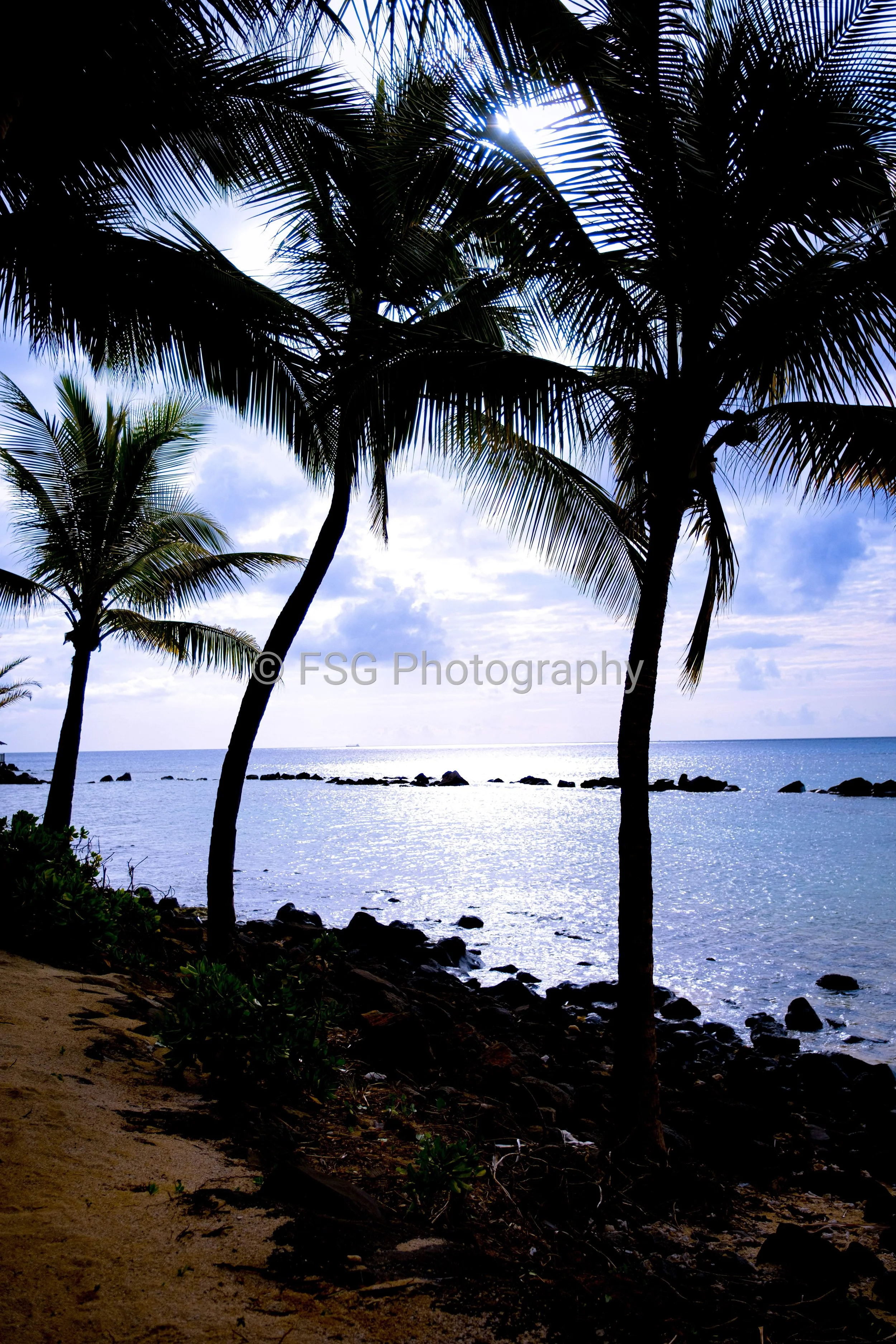 Tranquillity

Capturing the tranquil transition of twilight along the shores of Mauritius. The striking Silhouettes of towering palm trees stand as timeless sentinels against a pastel sky, where gentle waves meet a dark volcanic, rocky shoreline.