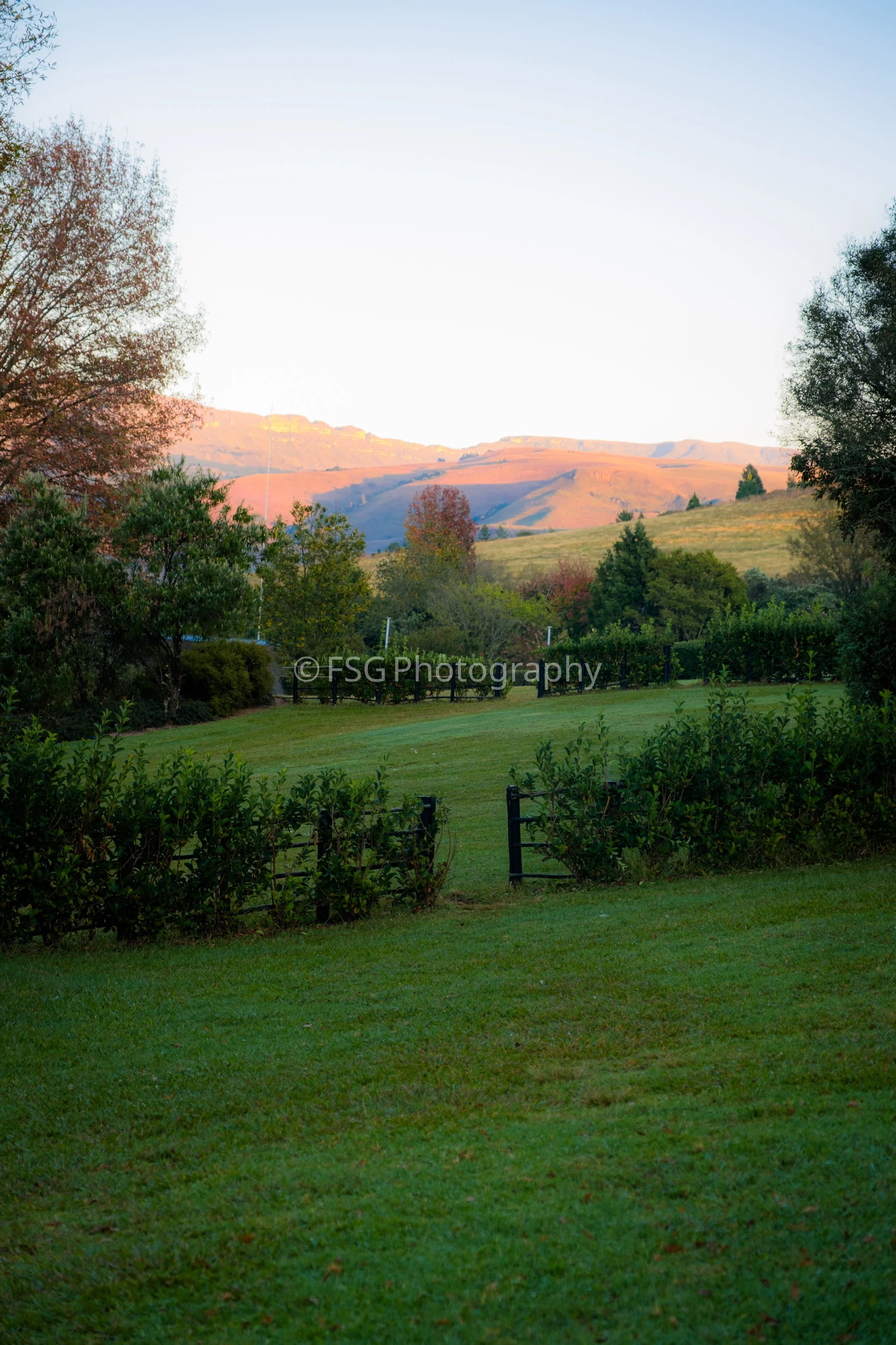 Peace

A peaceful study of perspective and light in the heart of the Drakensberg. The composition uses a simple garden gate as an invitation to look beyond, transitioning from vibrant foreground greenery to the pastel, rolling silhouettes of the dist