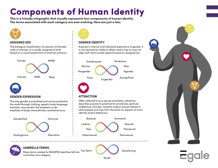 The Genderbread Person - Components of Human Identity • What's On Queer ...