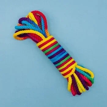 Rainbow Bondage Rope from Art of Loving $50