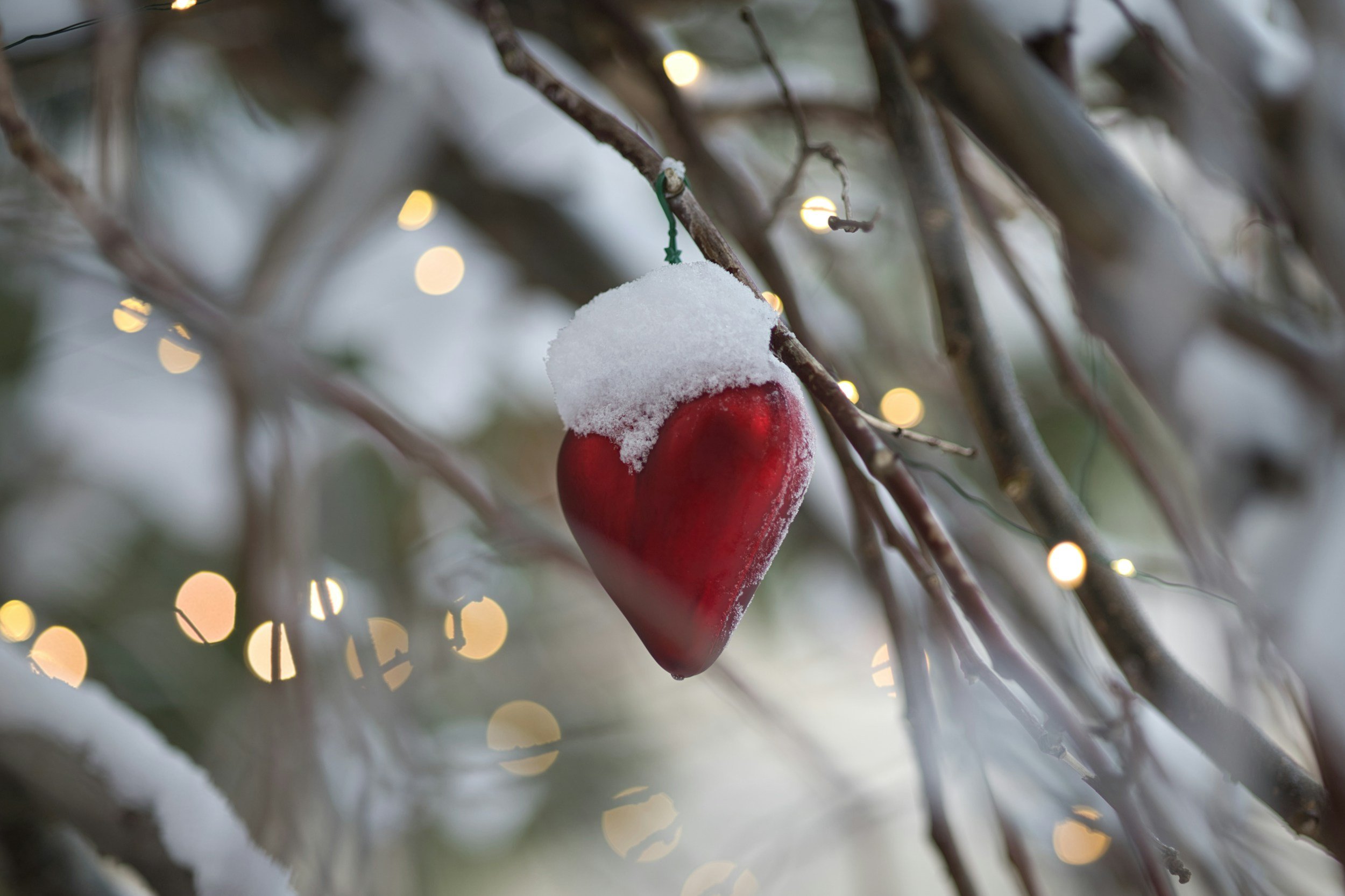 Gifting with heart this season