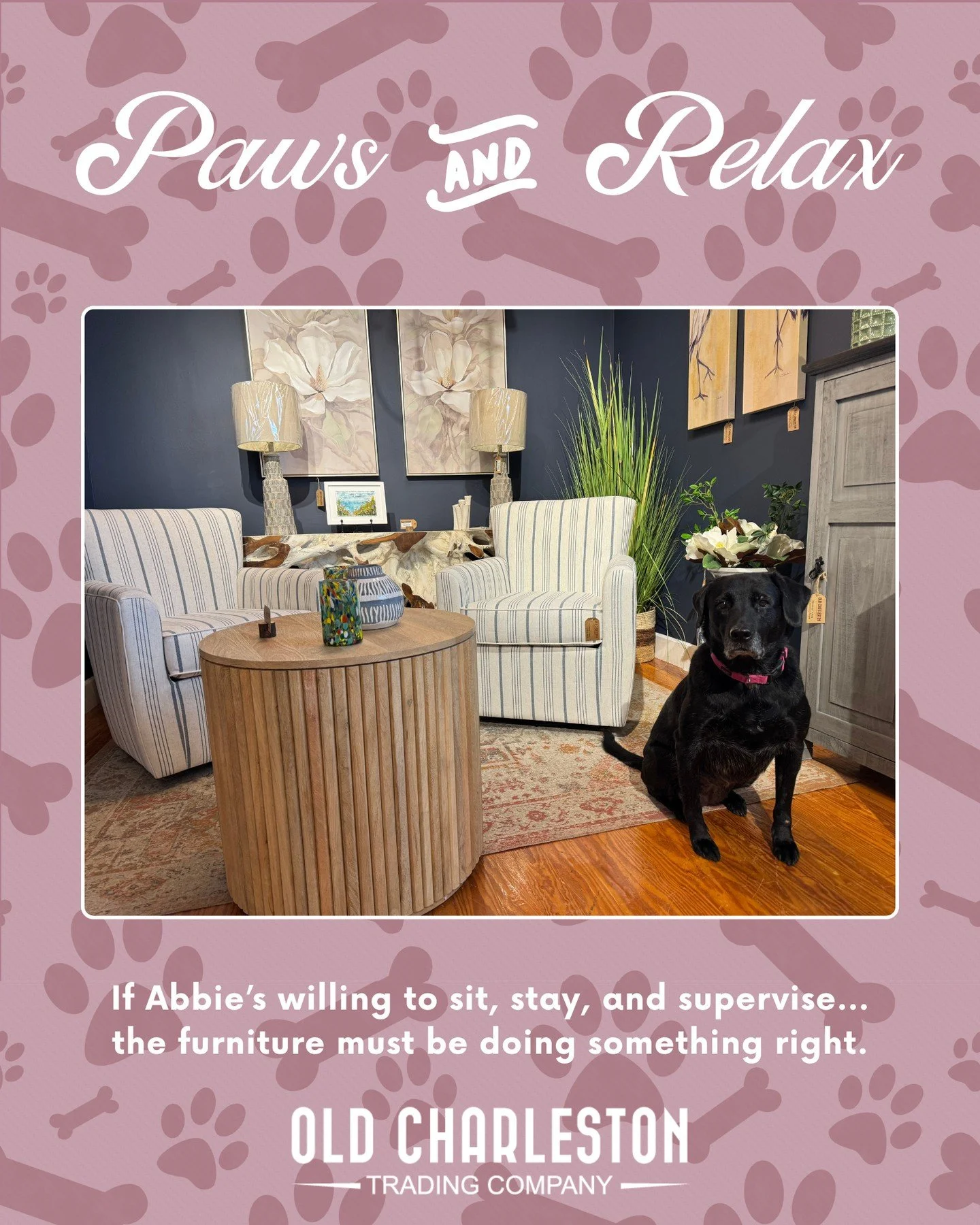 𝘾𝙤𝙖𝙨𝙩𝙖𝙡 𝘾𝙤𝙢𝙛𝙤𝙧𝙩, 𝘿𝙤𝙜 𝘼𝙥𝙥𝙧𝙤𝙫𝙚𝙙! ⁠
Because nothing gets past our four-legged quality inspector. ⁠
 ⁠
Meet Abbie, our youngest &ldquo;sales associate&rdquo; here at Old Charleston Trading Company &mdash; specializing in comfort 