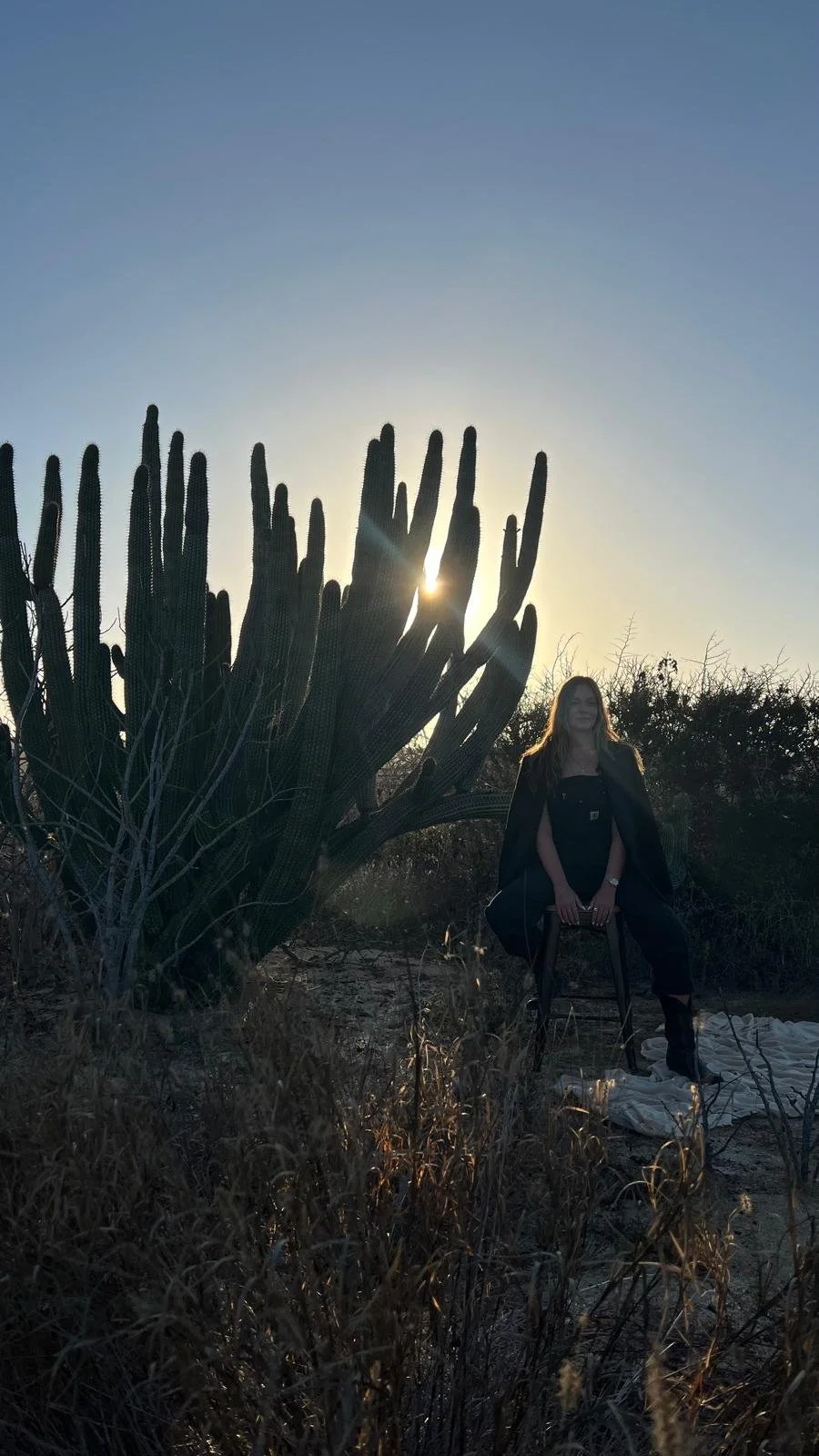 A woman sitting on a black chair in desert terrain with tall cacti and dry grass, during sunset, with the sun partially hidden behind the cacti.
