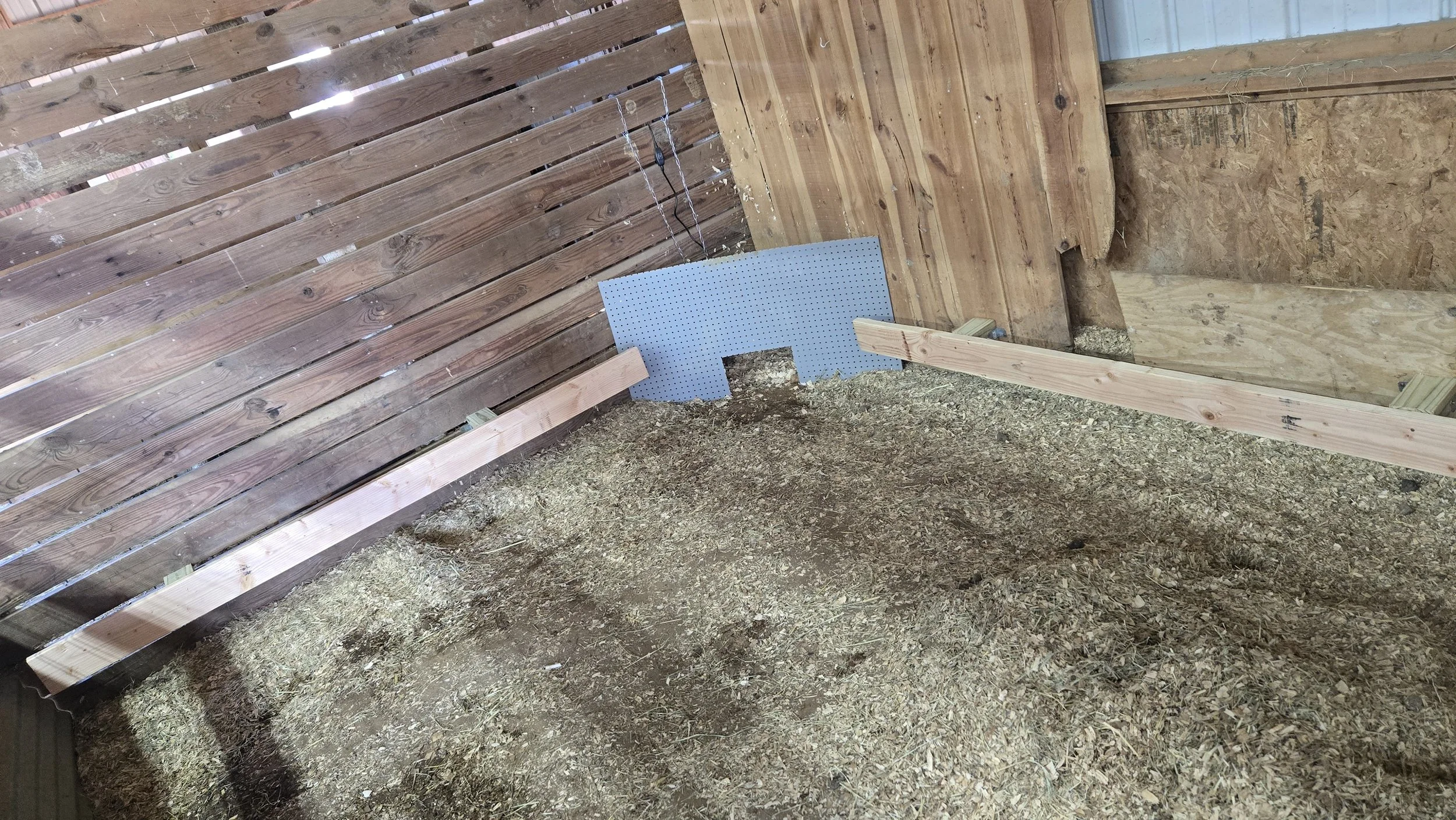 DIY Farrowing Pen for Mini Pigs