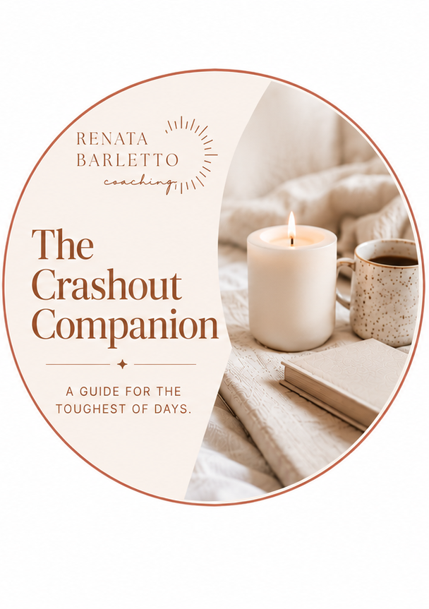 the_crashout_companion_final.png