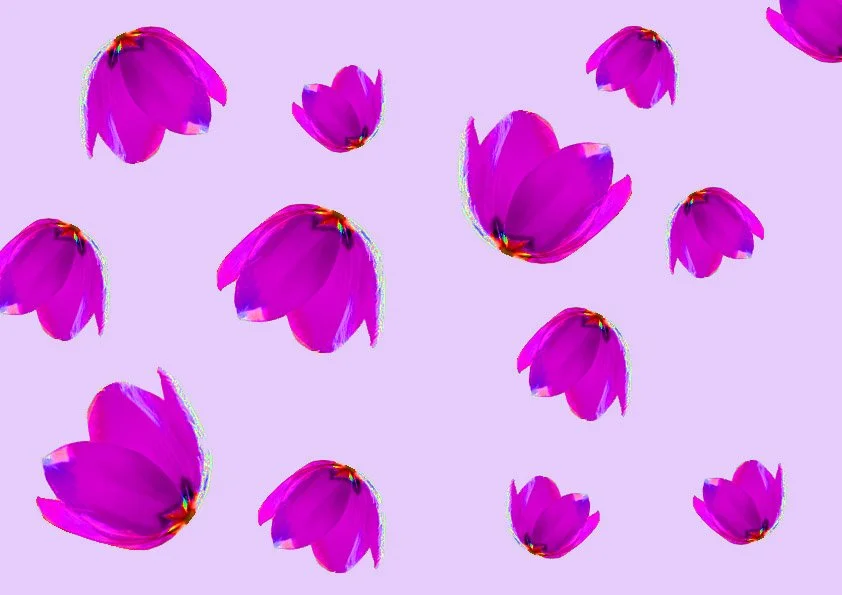 Tulppaanikuosi