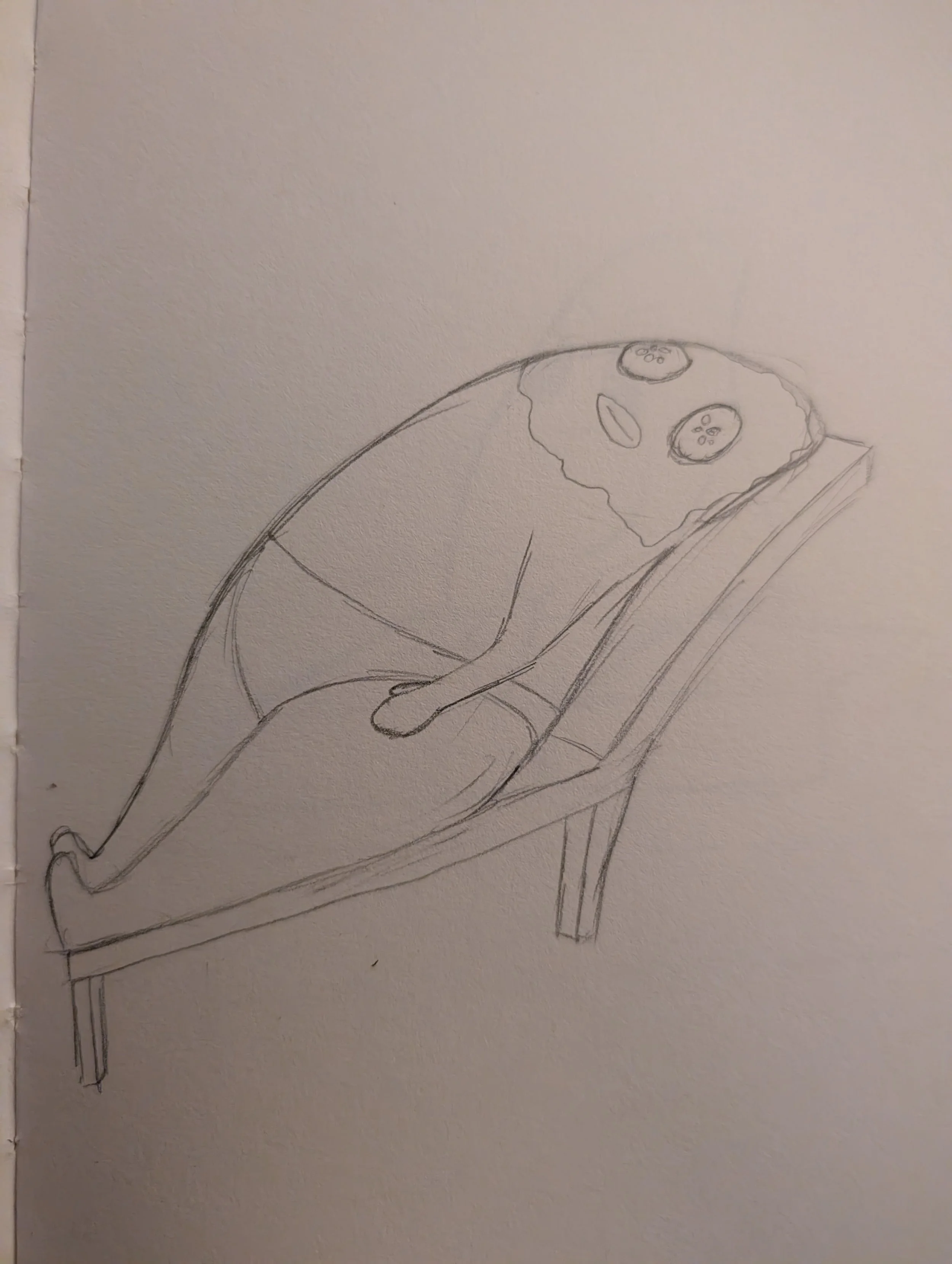 01/12/2026 Forget this exercise nonsense, time for a facial.