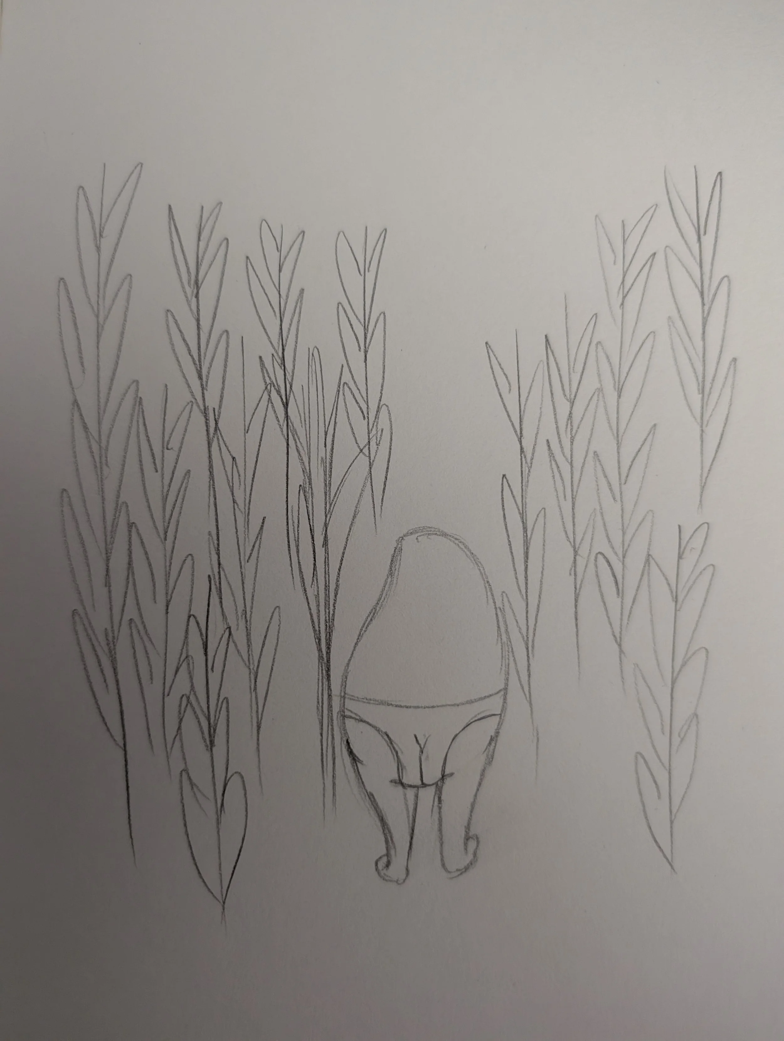 10/18/2025 Into the corn