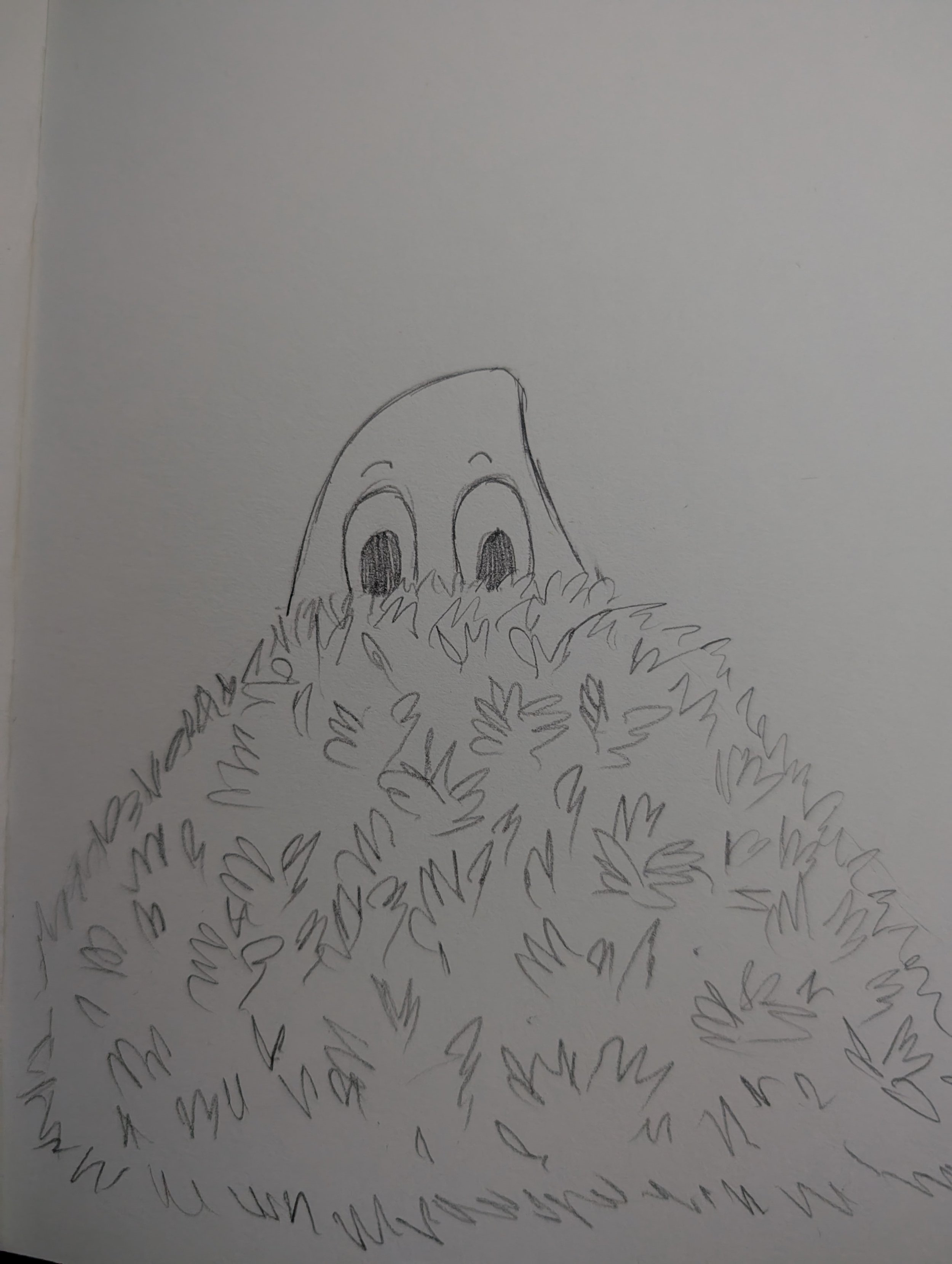 9/24/2025 Peek a boo!